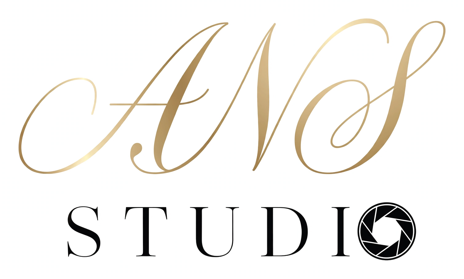 ANS Studio
