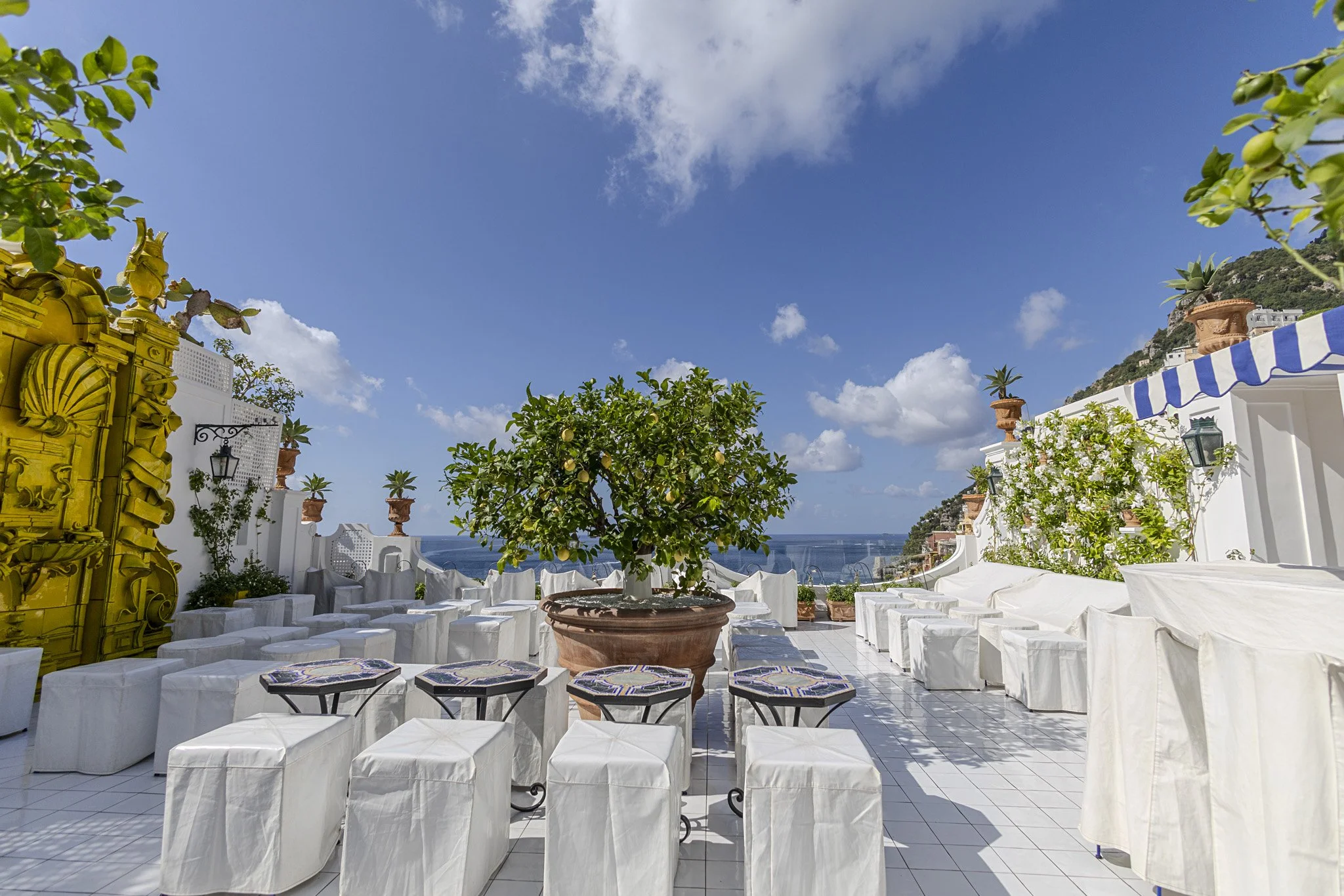 positano lemon tree.jpg