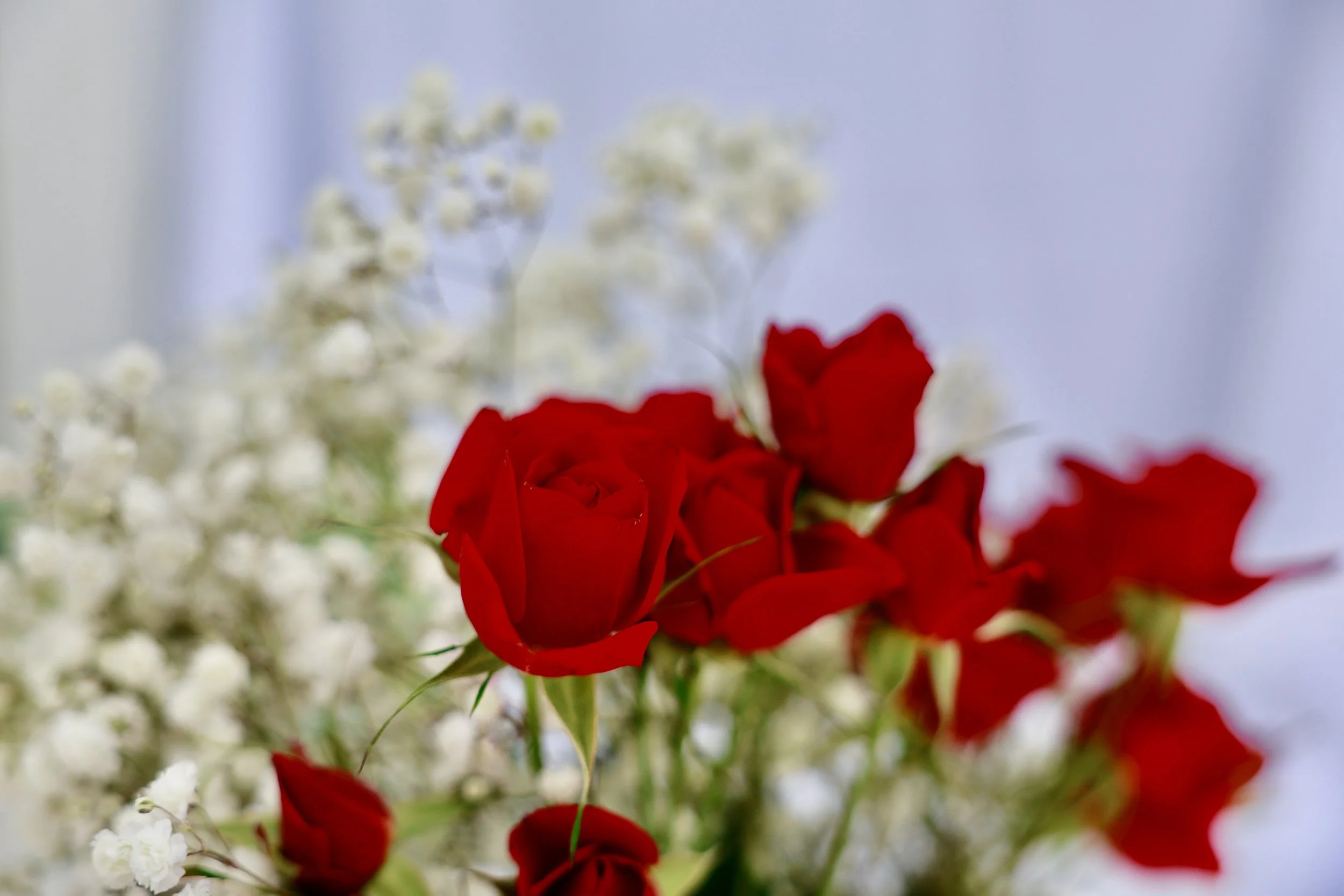 _79A0170.JPG