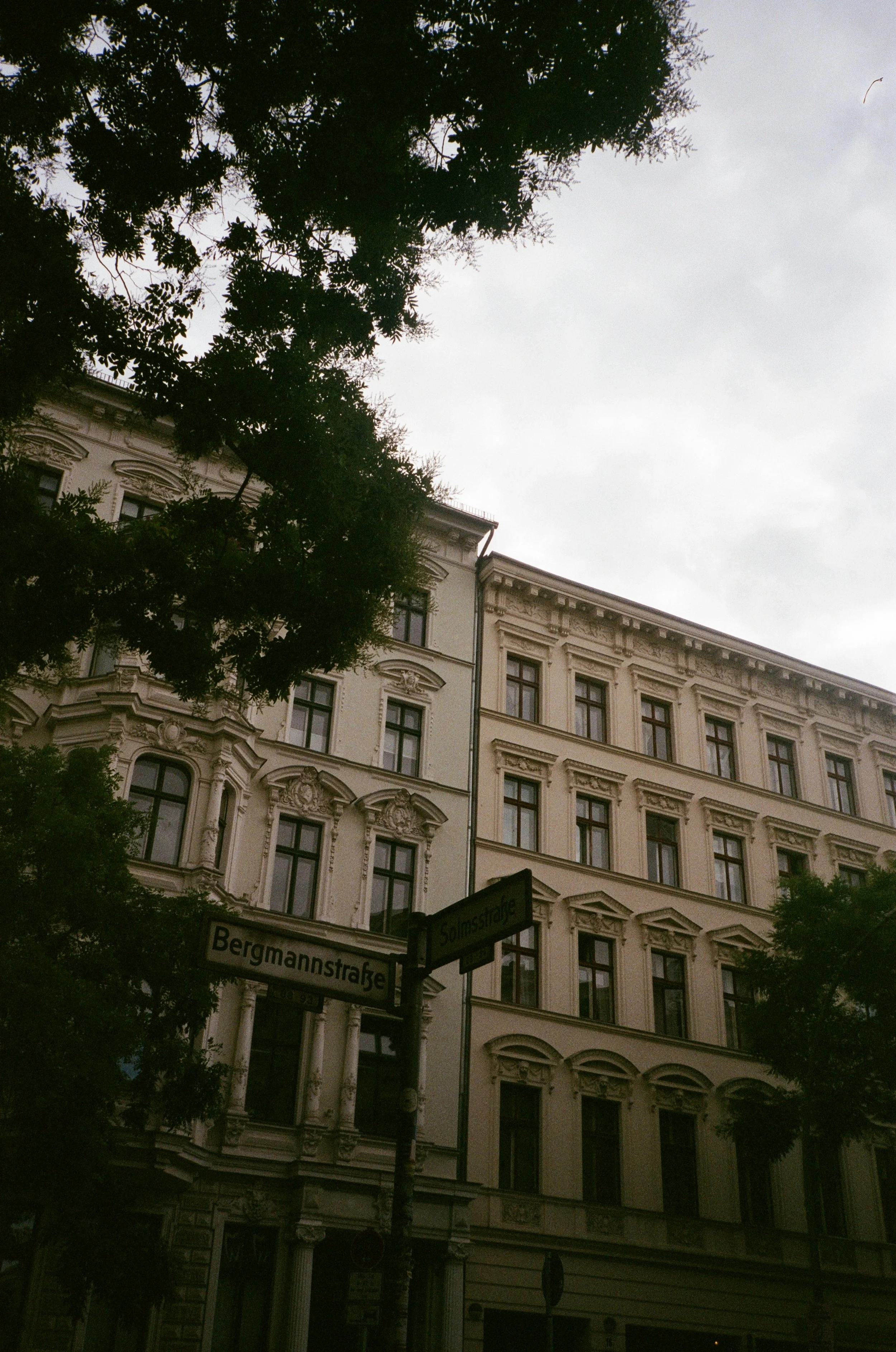 000081630032 copy.jpg