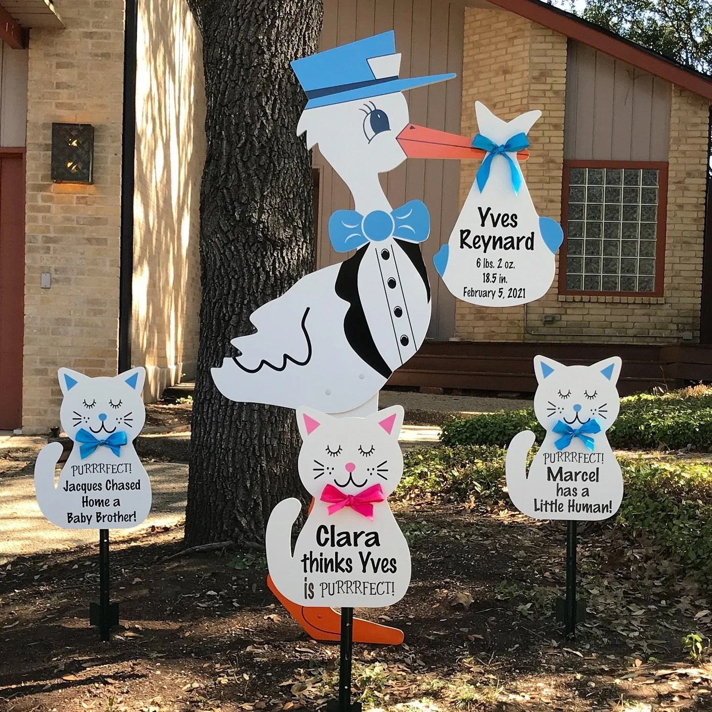 Three sweet kitties are happy to have baby brother home! 🩵🩷💙💜 Celebrate your bundle of joy with a picture perfect homecoming! 🏡🐱

#babyboy #babyannouncement #itsaboy #newparents #genderreveal