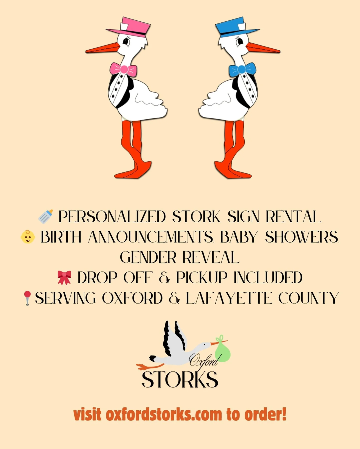 The options are endless for your custom stork yard sign! 💙🩷 

#newparents #oxfordms #oxfordmsmoms #babyannouncement #genderreveal #babyshower #boymom #girlmom