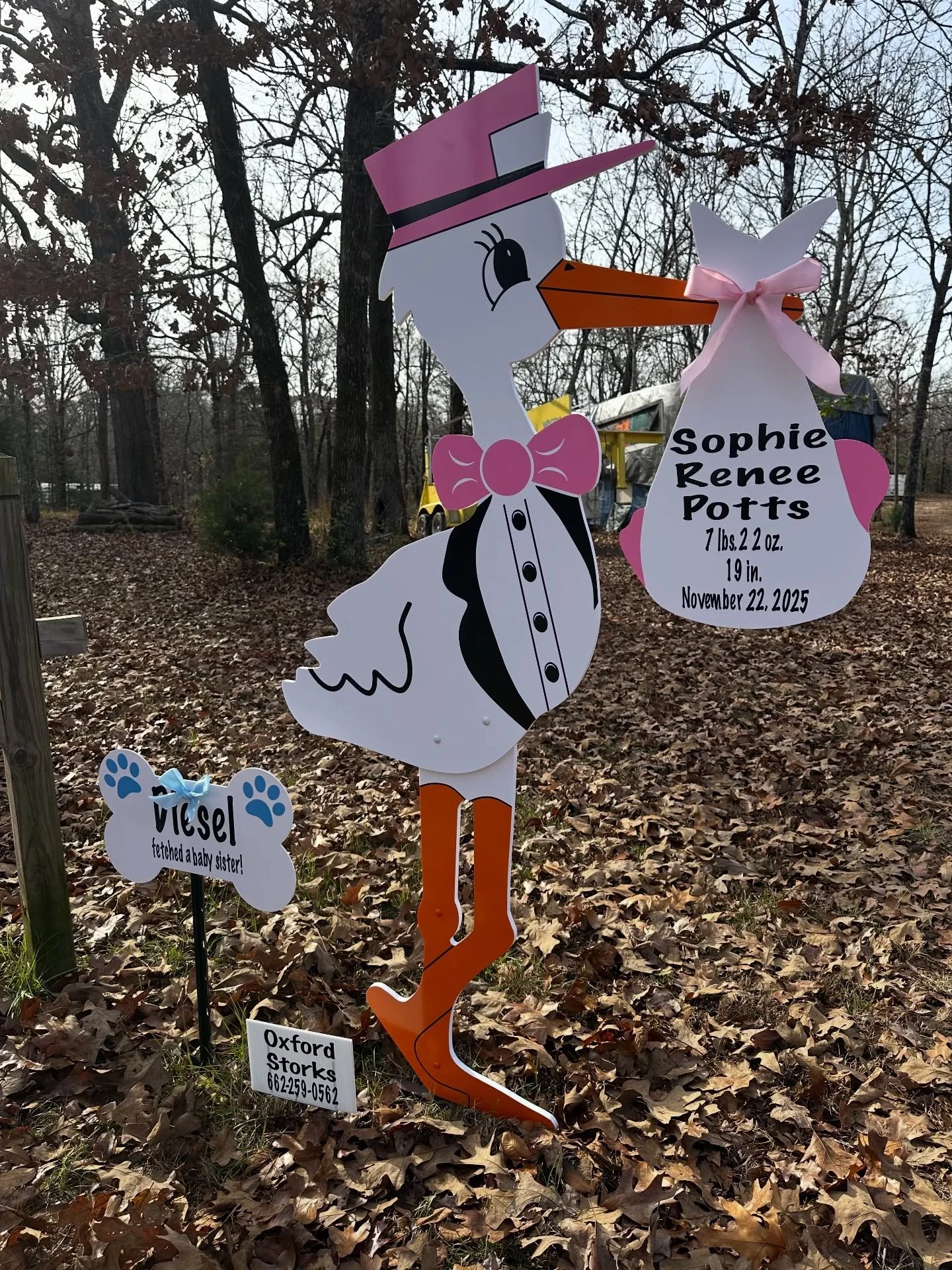 Sophie is finally home! 🩷🎀 Big brother Diesel is so proud! 💙🐶🐾

#birthannouncement #babygirl #storksign #novemberbaby #newparents #oxfordstorks