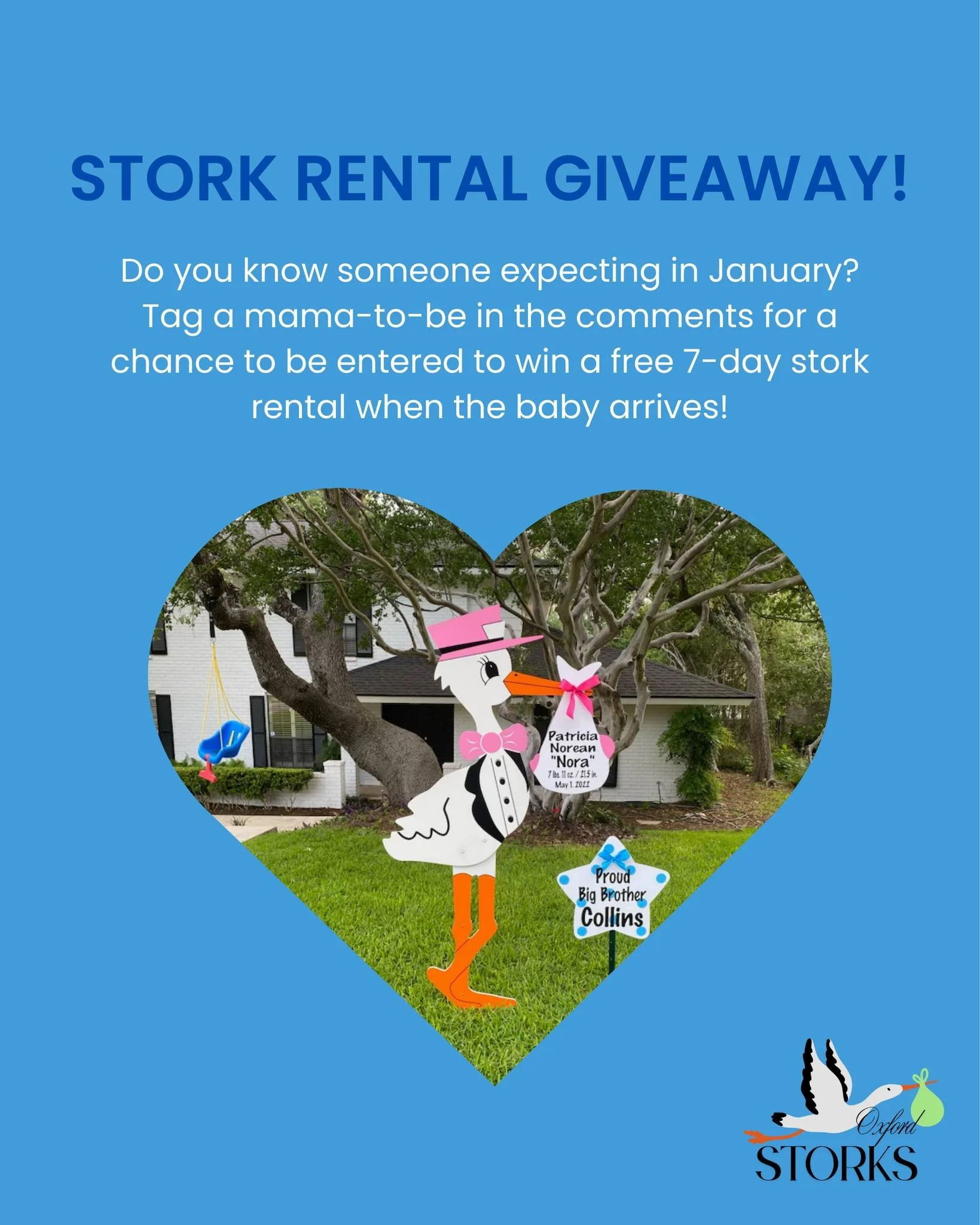 January mamas! 👶❄️🍼✨ Comment below to be entered to win a personalized stork when your baby arrives! 💙🩷 Winner announced Friday, January 9!