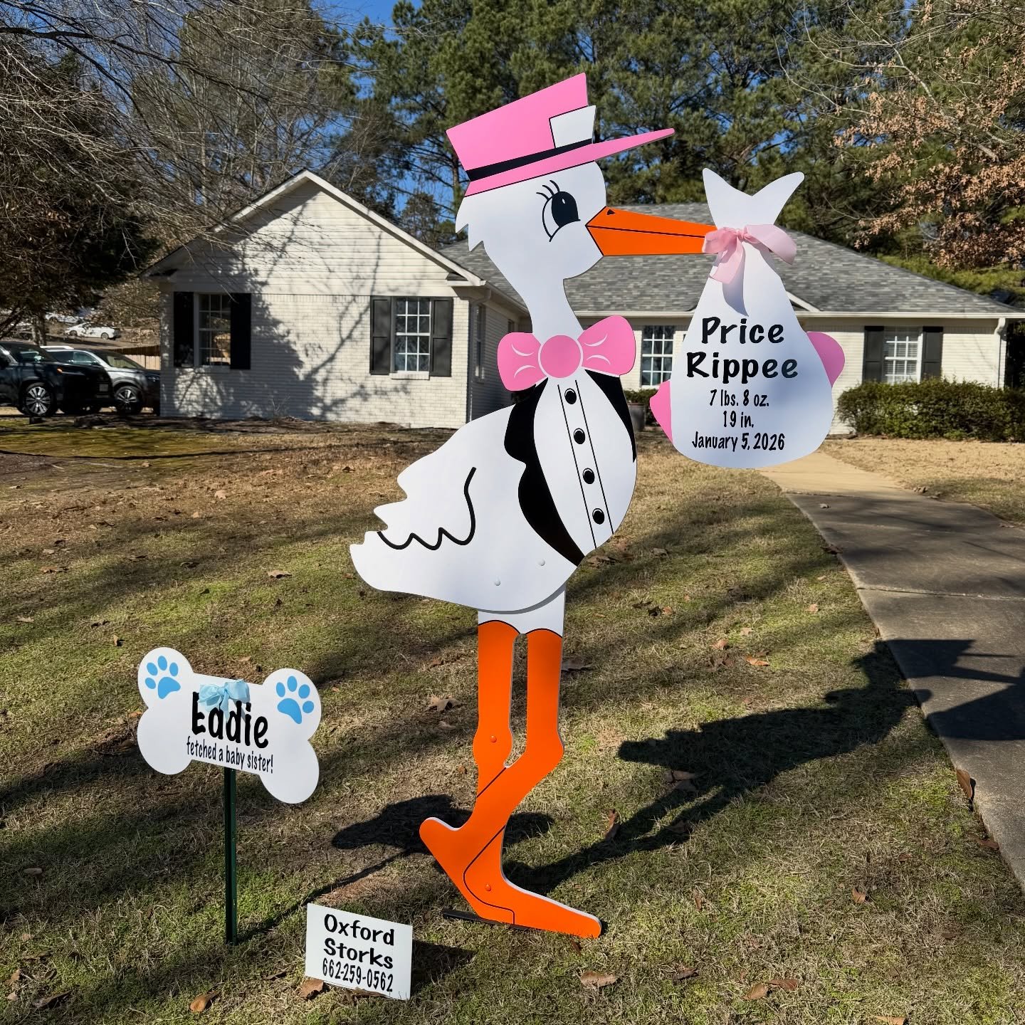 Our first baby of 2026! 🩷🍼👼🏼 Welcome home Price! 

#oxfordstorks #newparents #girlmom #girldad #babygirl