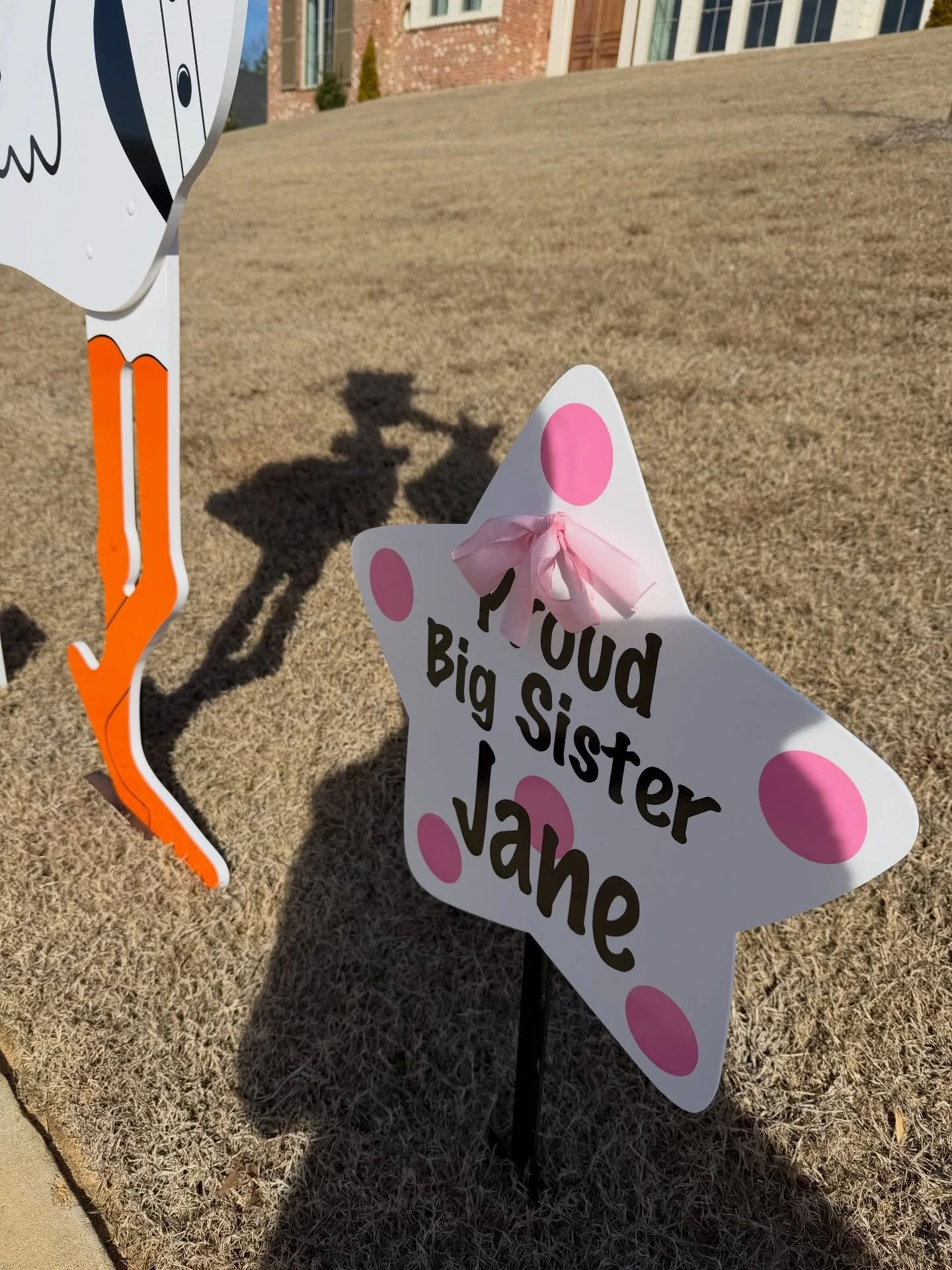 Add on a sibling star with your 7 day stork rental so the excited brothers and sisters can join in on the fun! ⭐️🩷⭐️💙⭐️