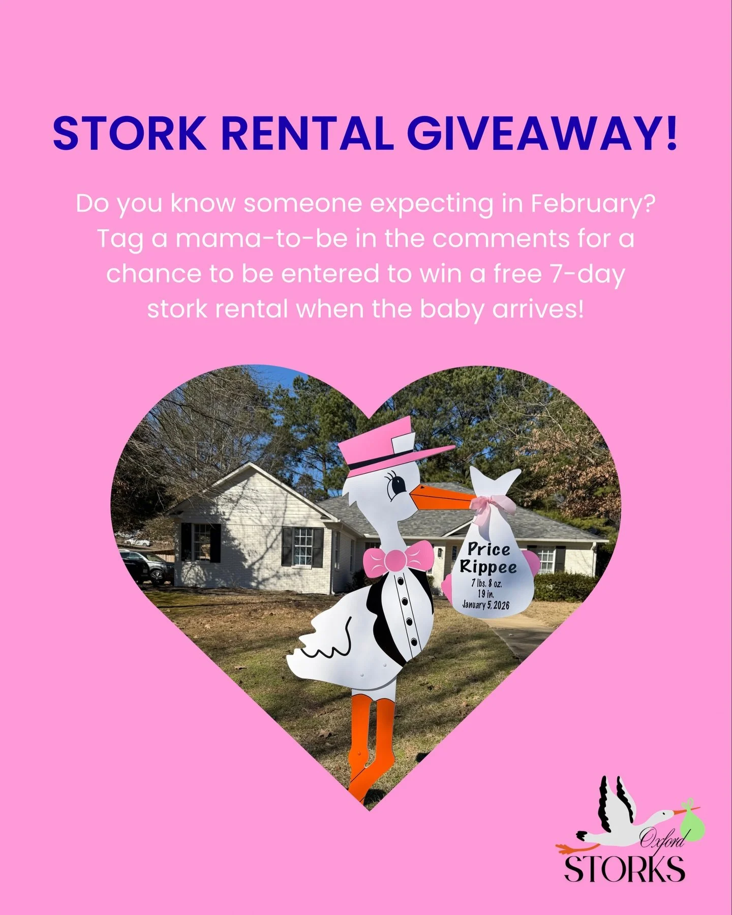 February mamas! 👶🌹💌❣️Comment below to be entered to win a personalized stork when your baby arrives! 💙🩷 Winner announced Monday, February 9!