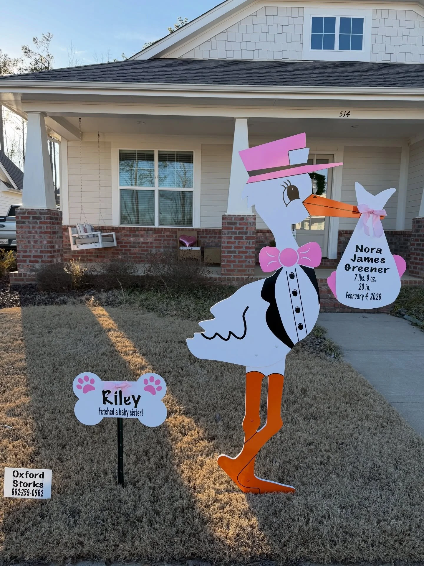 Welcome home sweet Nora!💘 Big sister Riley is happy you&rsquo;re home! 🐶🐾 Our first girl this February🩷🩷🩷