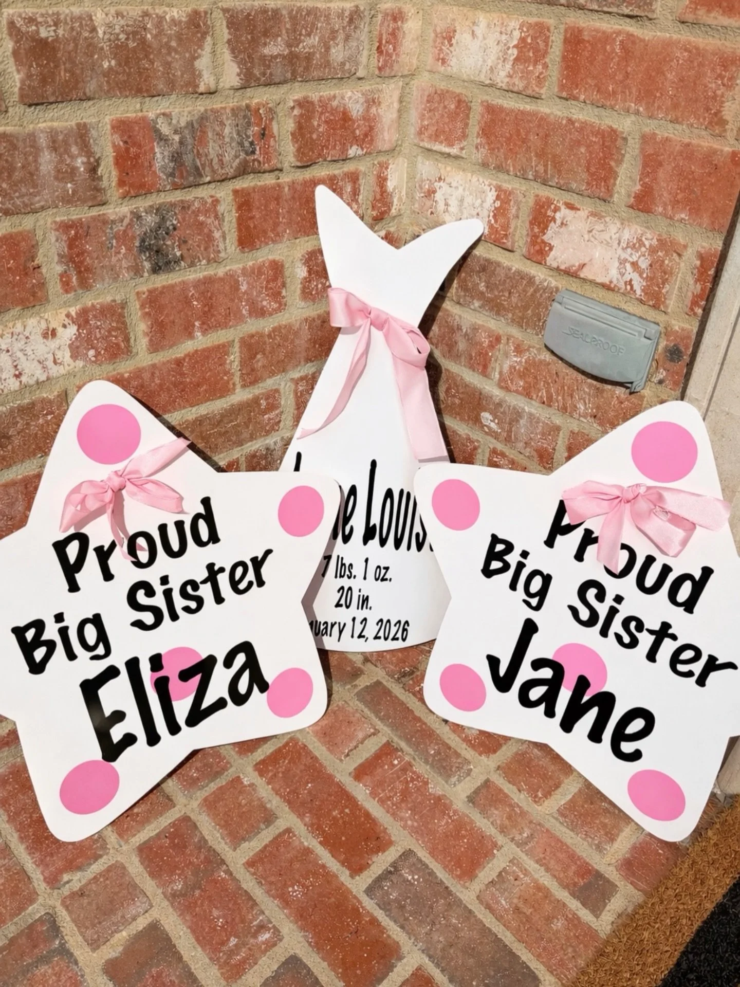 Best part about our stork service? You get to keep the bundle and any add-ons! 🩷💙 These make for the sweetest nursery decor! 

#oxfordstorks