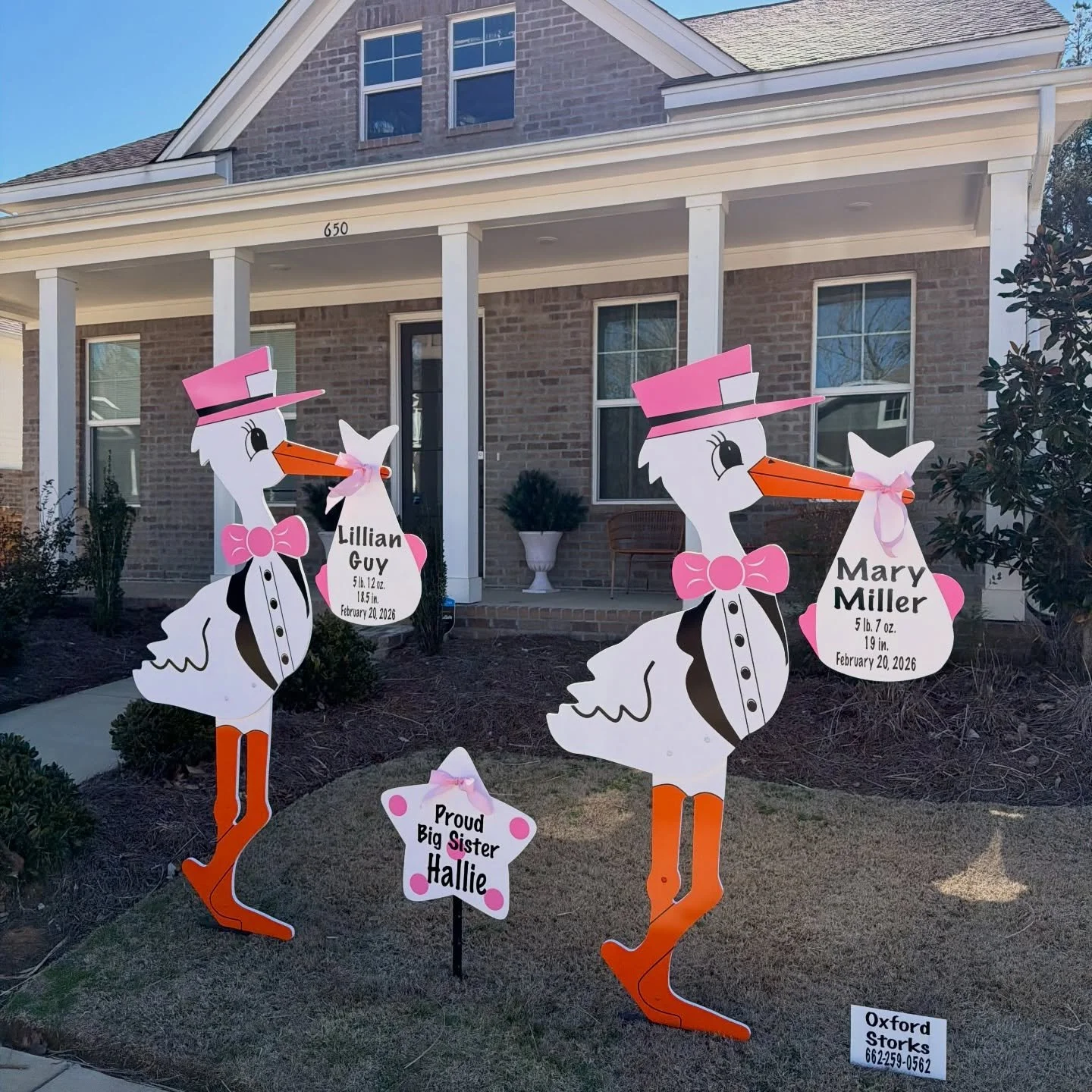 TWIN GIRLS💗💗 Welcome home Lillian &amp; Mary👼🏼👼🏼 We know big sister Hallie is so excited🎀 Dad is out numbered at this house! 

#oxfordstorks #twingirls #bigsister #girlmom #girldad