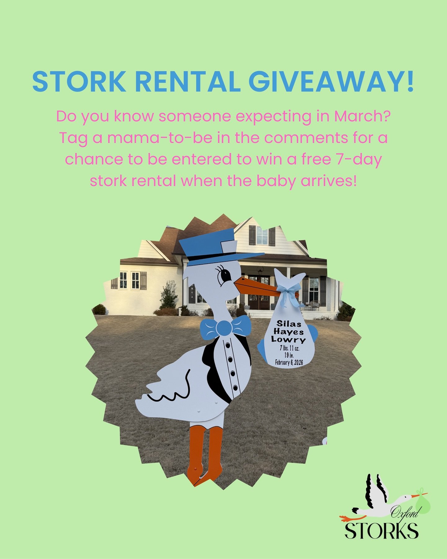 March mamas!💚🌷☀️ Comment below to be entered to win a personalized stork when your baby arrives! 💙🩷 Winner announced Monday, March 9!