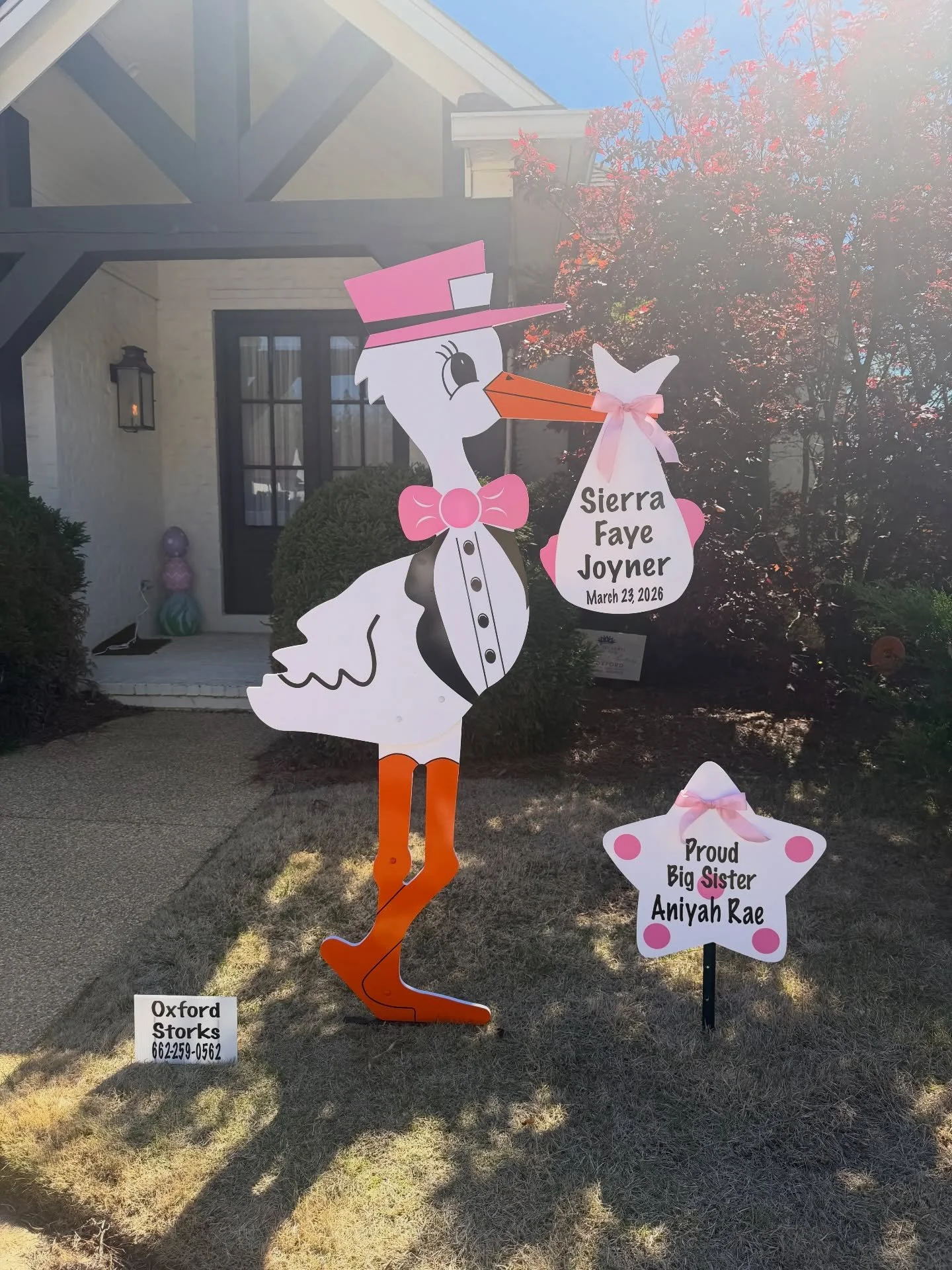 Welcome home Sierra Faye! 🩷 You are so loved by big sister Aniyah Rae! ⭐️💘