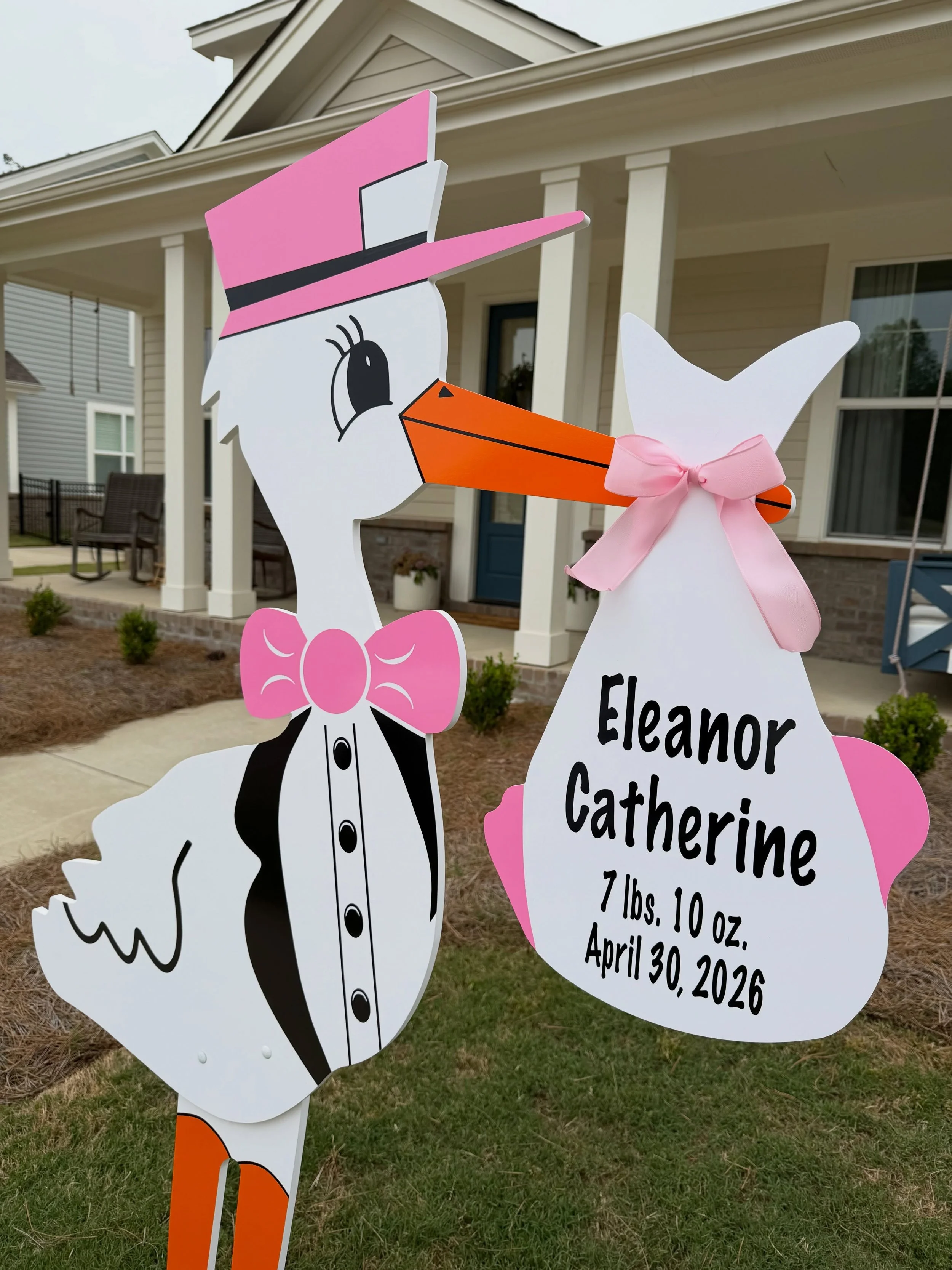 This house is all girl! Welcome home Eleanor Catherine 🩷🩷🩷