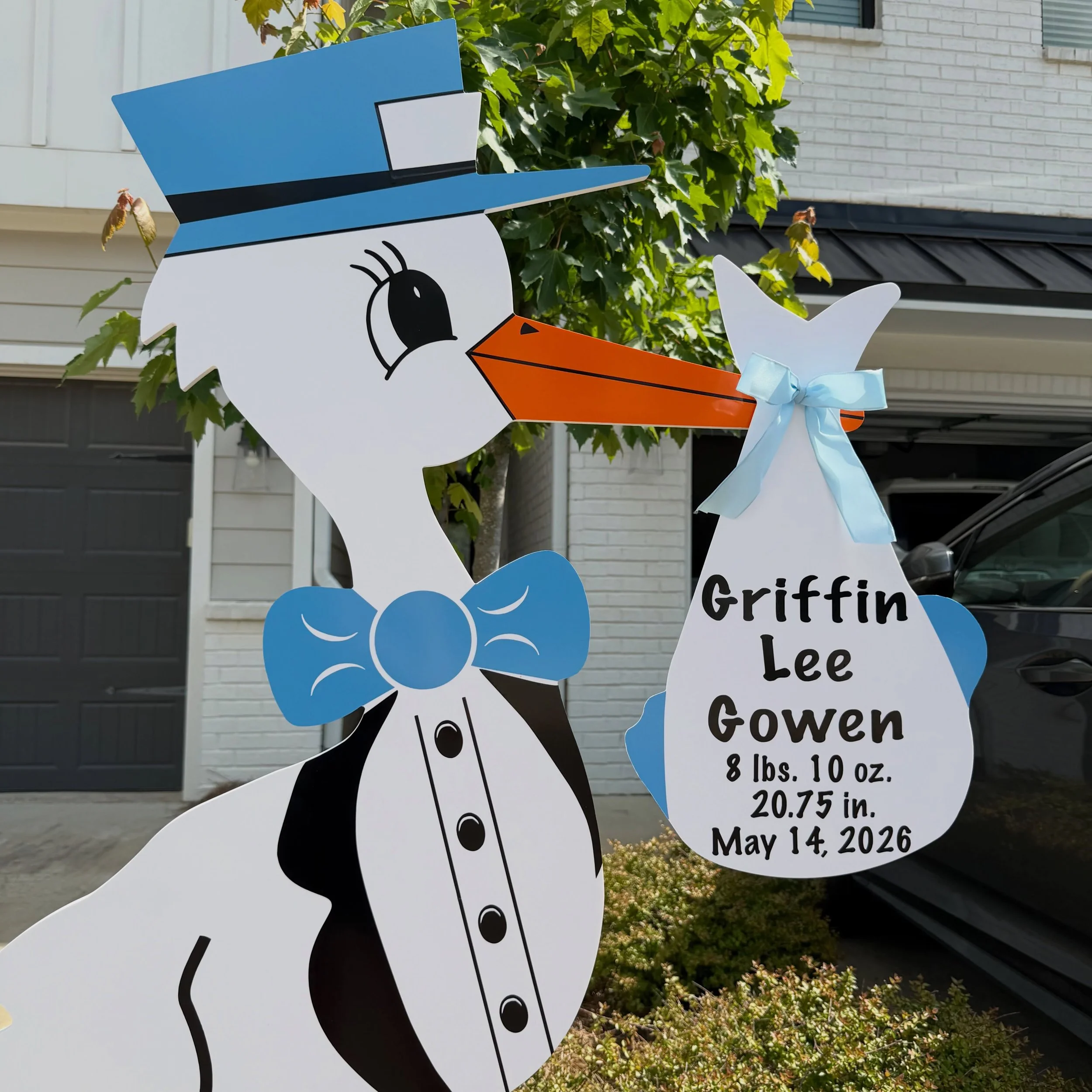 Welcome home, Griffin! 🩵💙🩵