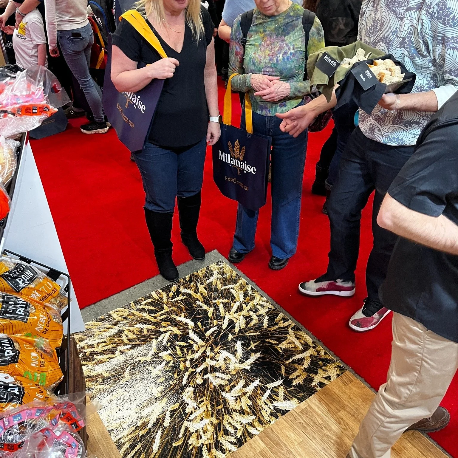 Avant d&rsquo;&ecirc;tre une miche&hellip; c&rsquo;est &ccedil;a. 🌾

Du bl&eacute;.
De la terre.
Du vivant.

👉 1 miche &Agrave; Chacun son pain = 1 m&sup2; de terre bio prot&eacute;g&eacute;e au Qu&eacute;bec.

Choisir son pain, &ccedil;a a plus d&