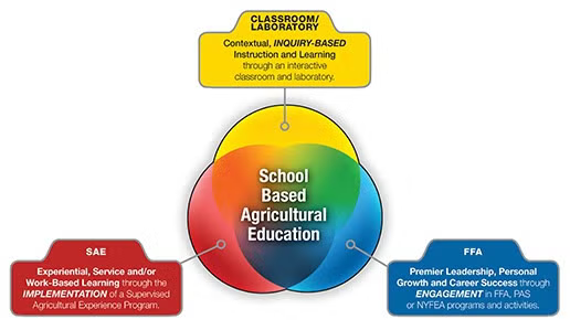 Diagram illustrating school-based agricultural education with sections labeled classroom/laboratory, SAE, and FFA, surrounding a central circle labeled school-based agricultural education.