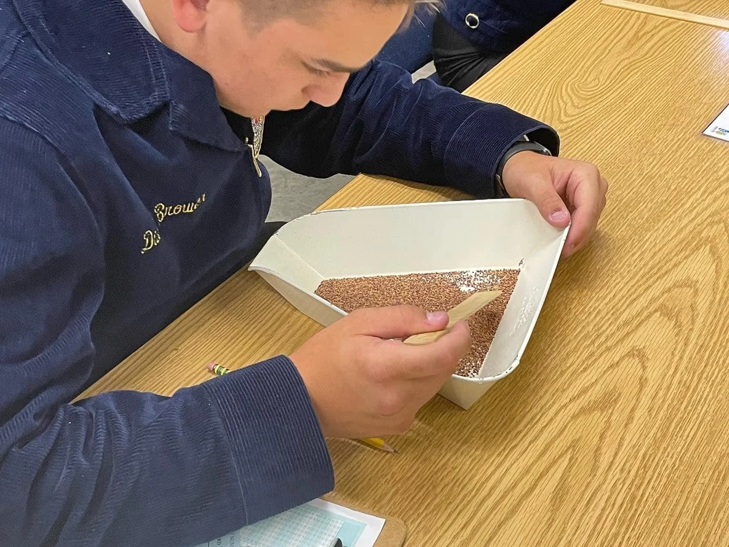 A person in an FFA jacket with 'Drexel' embroidered on it is sitting at a wooden table, using a small spatula to analyze a seed sample in the Agronomy competition.