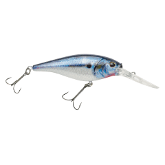 1285348_HD_Threadfin_Shad_MS.png