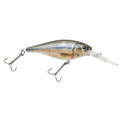 1285348_HD_Fathead_Minnow_MS.png