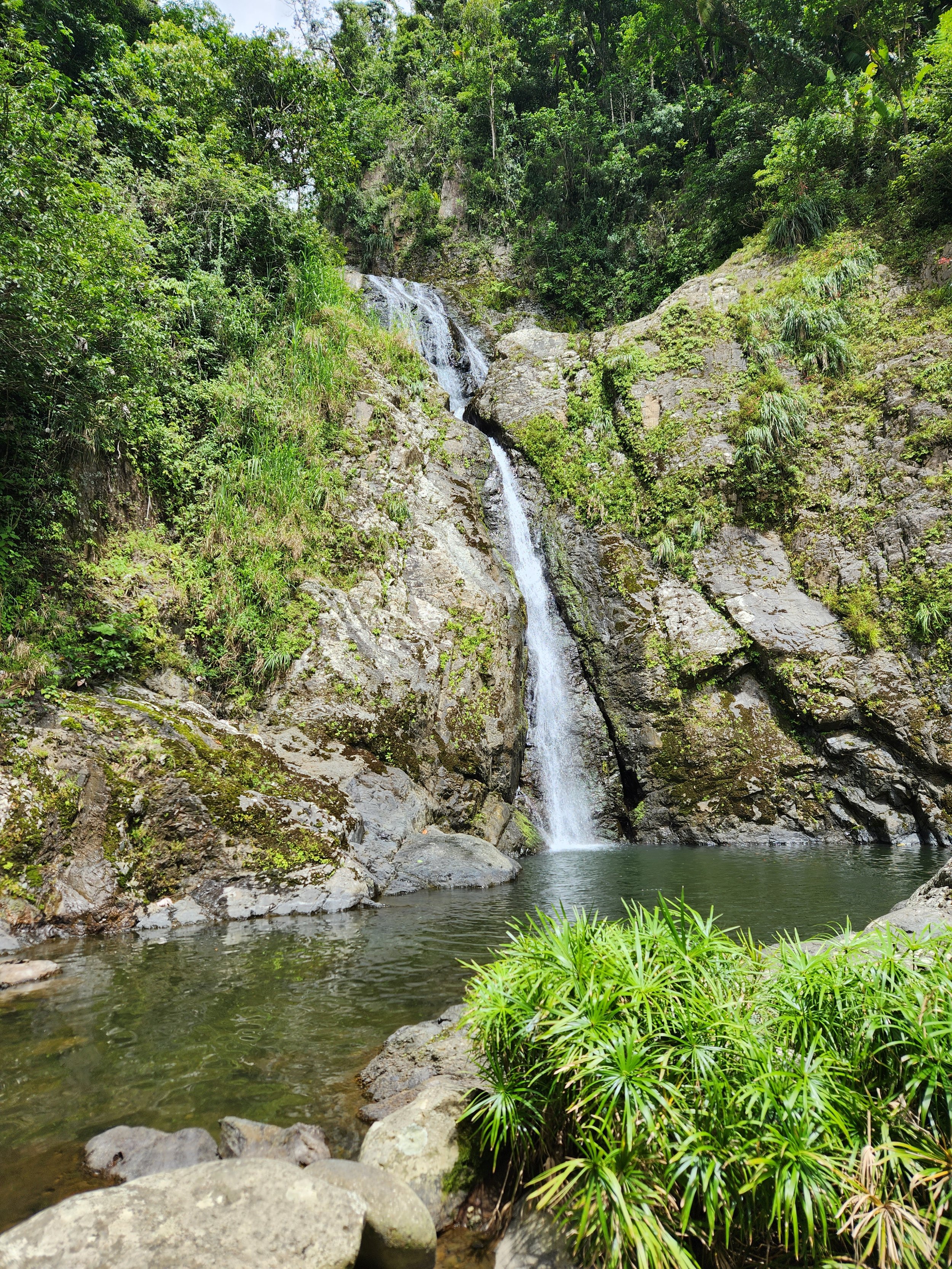 A small waterfall cascading down rocky cliffs into a pool of water, surrounded by green foliage and rocks.
