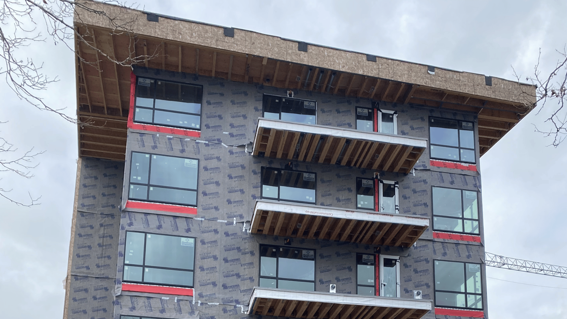 Day 7: Harmony in Progress