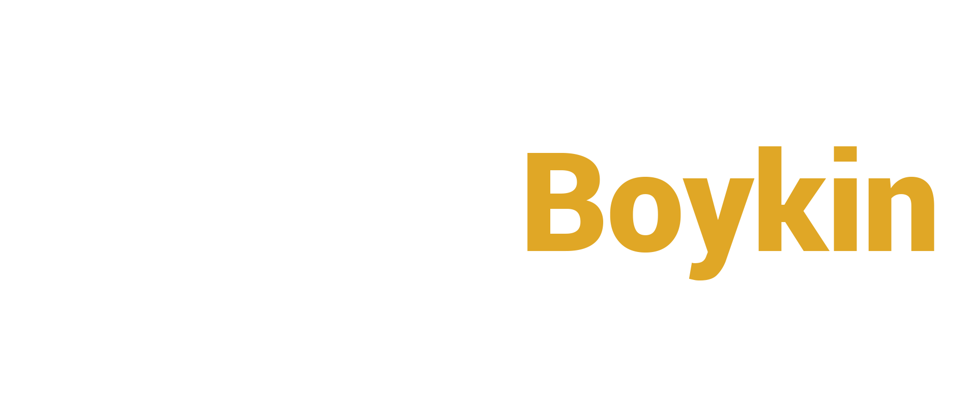 Campaign logo for Richard Boykin, Democrat for Congress, with stylized arcs and the candidate's name in white and gold text.