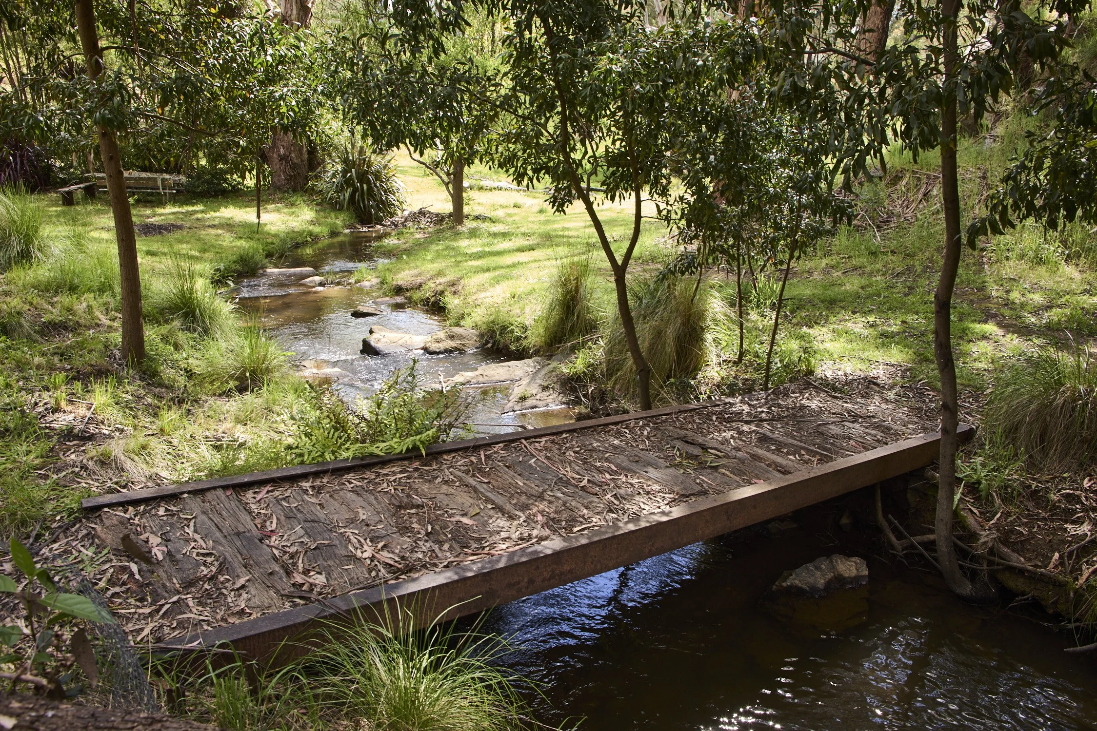 Wooden footbridge over Spring Creek at the bottom of Third St in Hepburn Springs in lush bushland.