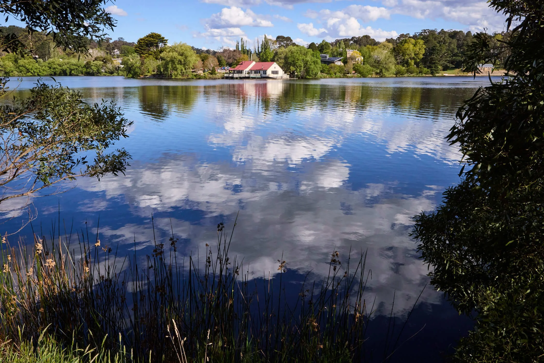 Scenic Lake Dayleford reflecting clouds, surrounded by lush trees, reeds, and waterfront buildings under a blue sky