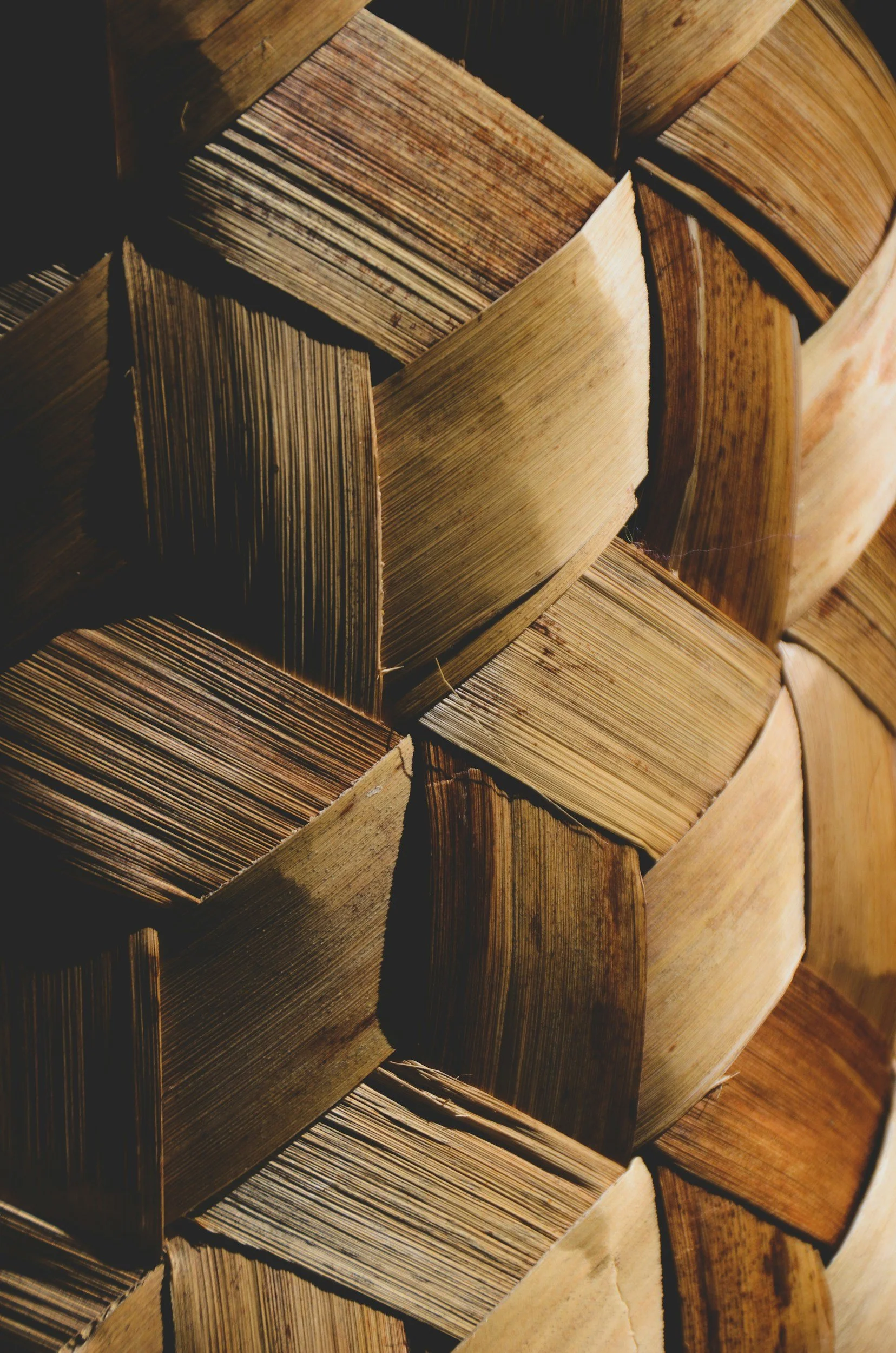 unsplash-image-44rp_slNozg.jpg