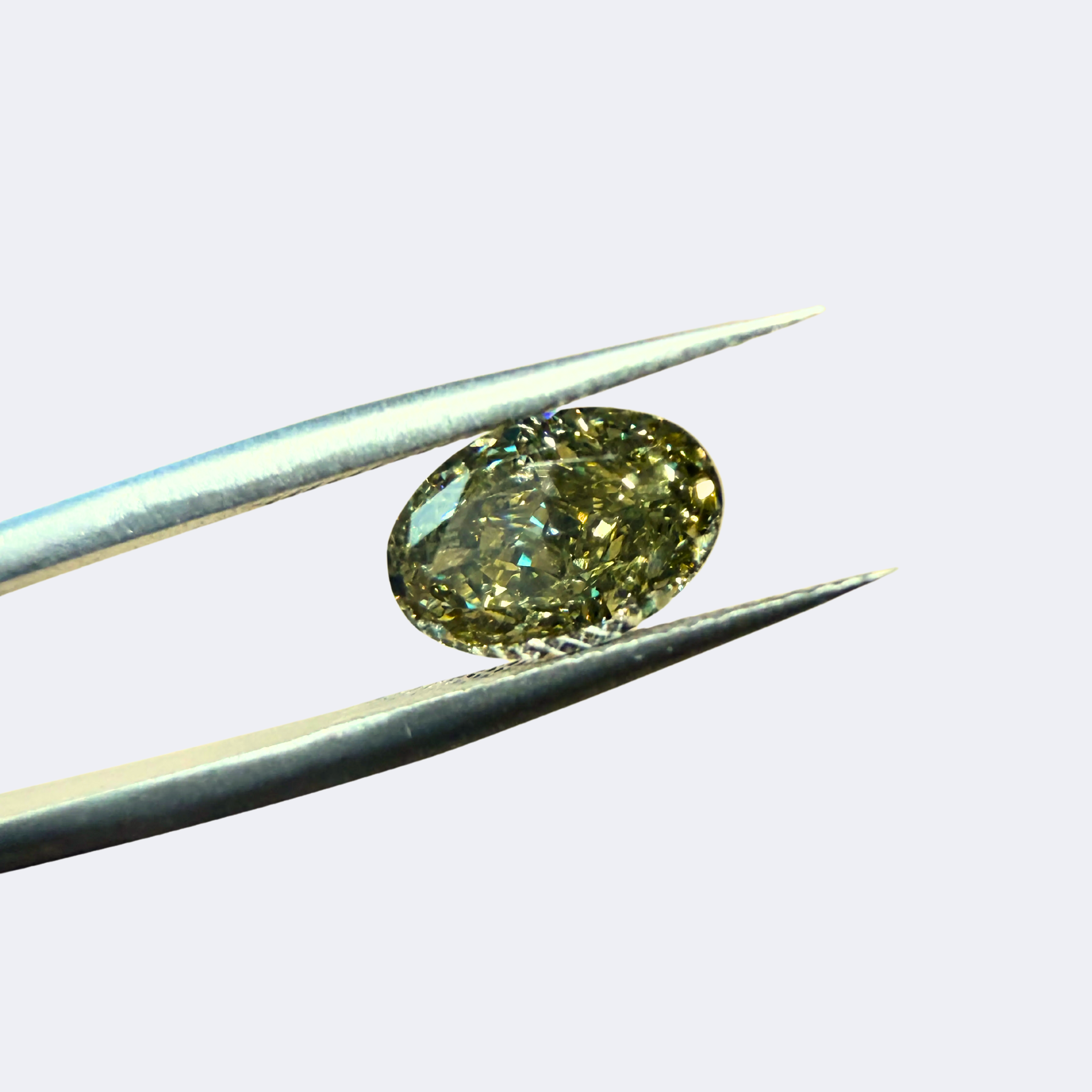 Surprise Ring (80).png