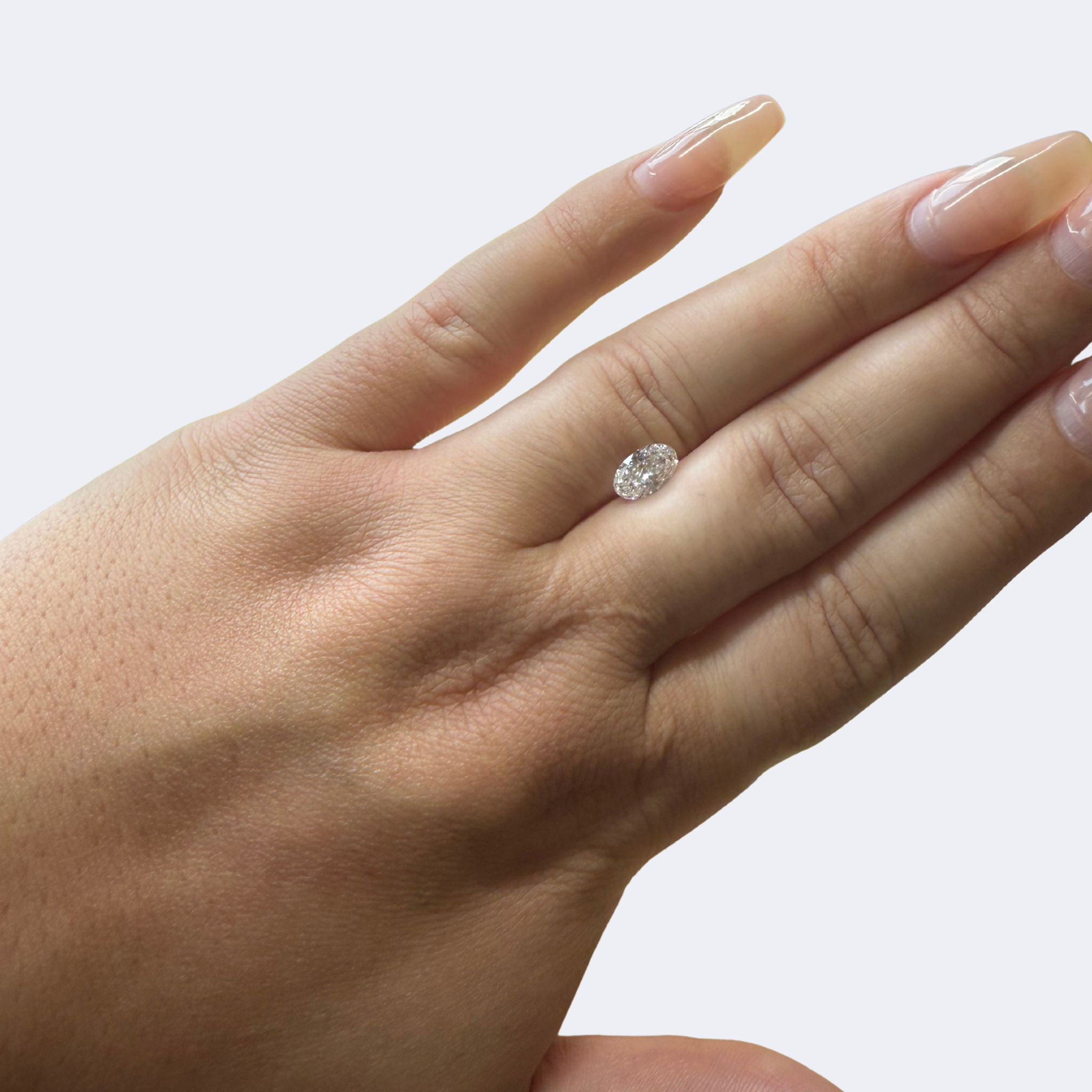 Surprise Ring (77).png