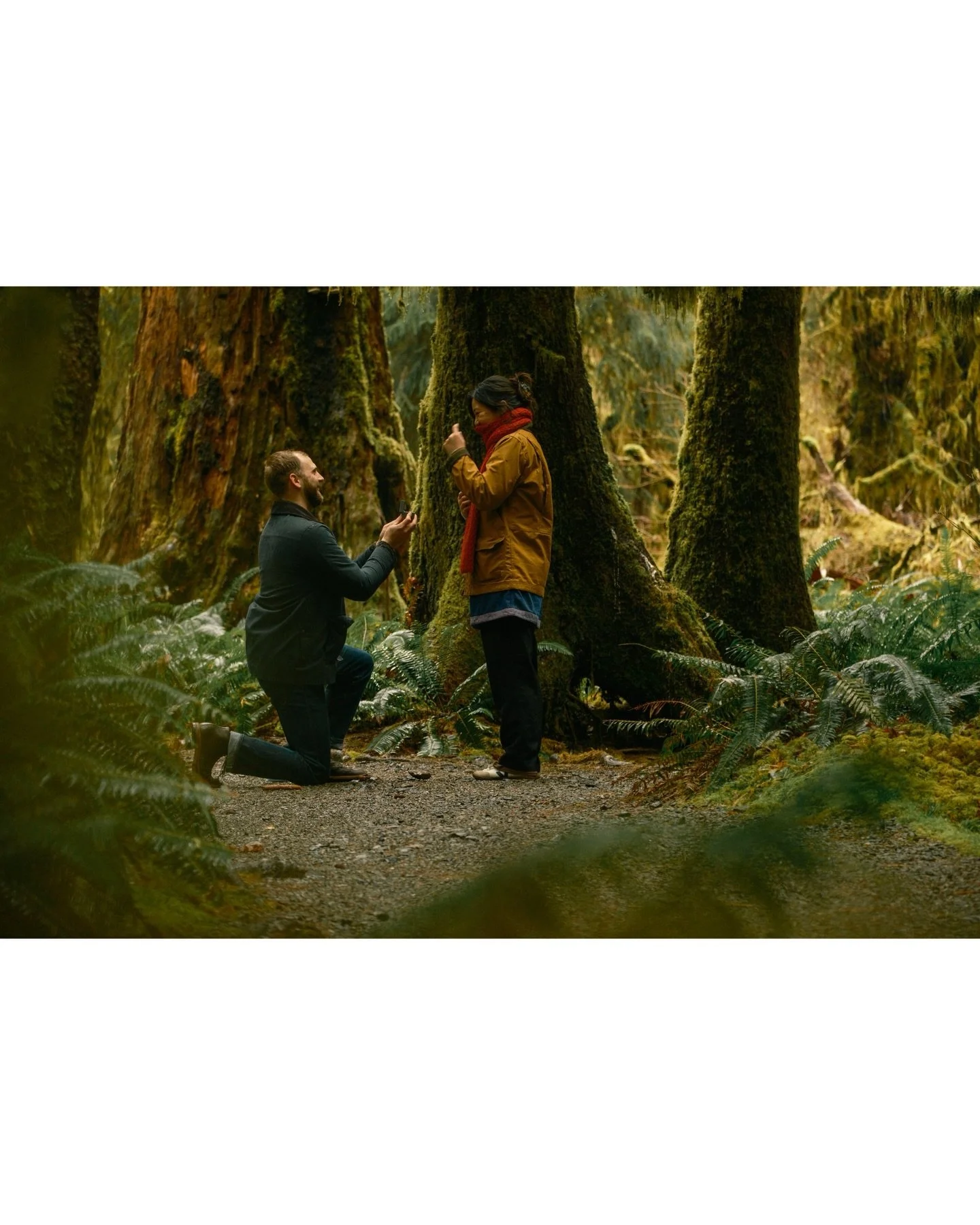Just gasping over this magical forest proposal 😍 Congrats again to Kai &amp; Mike! And thank you Kai for sharing your beautiful photos with me. Truly warms my heart to see y&rsquo;all&rsquo;s engagements :)

+

Get a closer look at Kai&rsquo;s engag