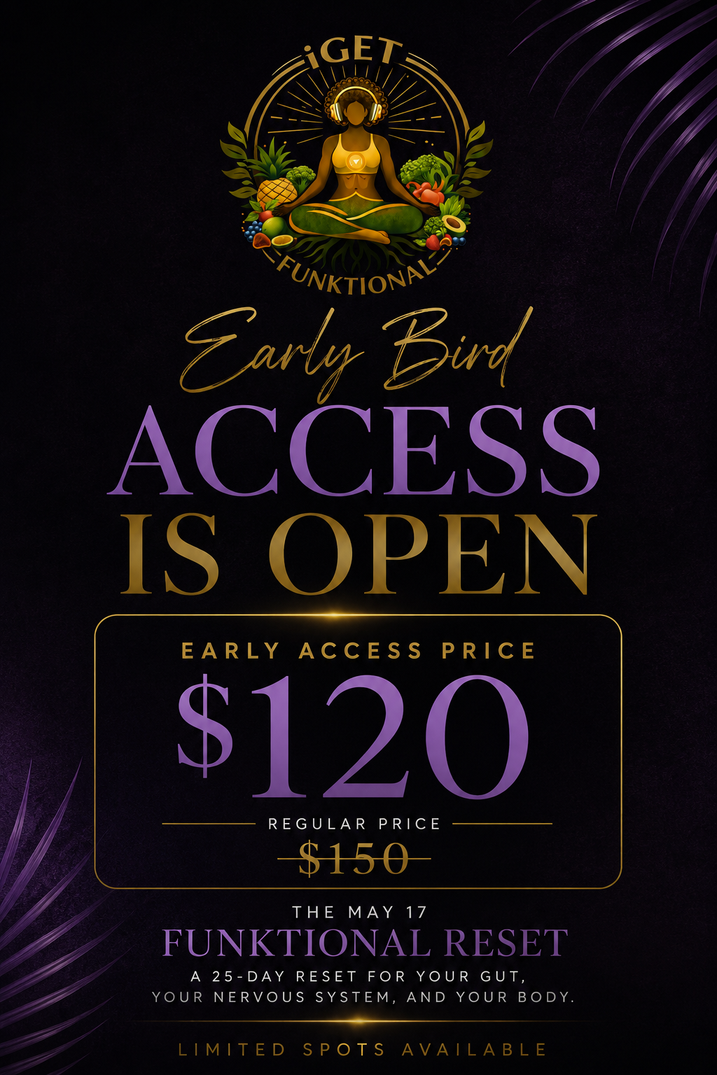 The Funktional Reset early bird