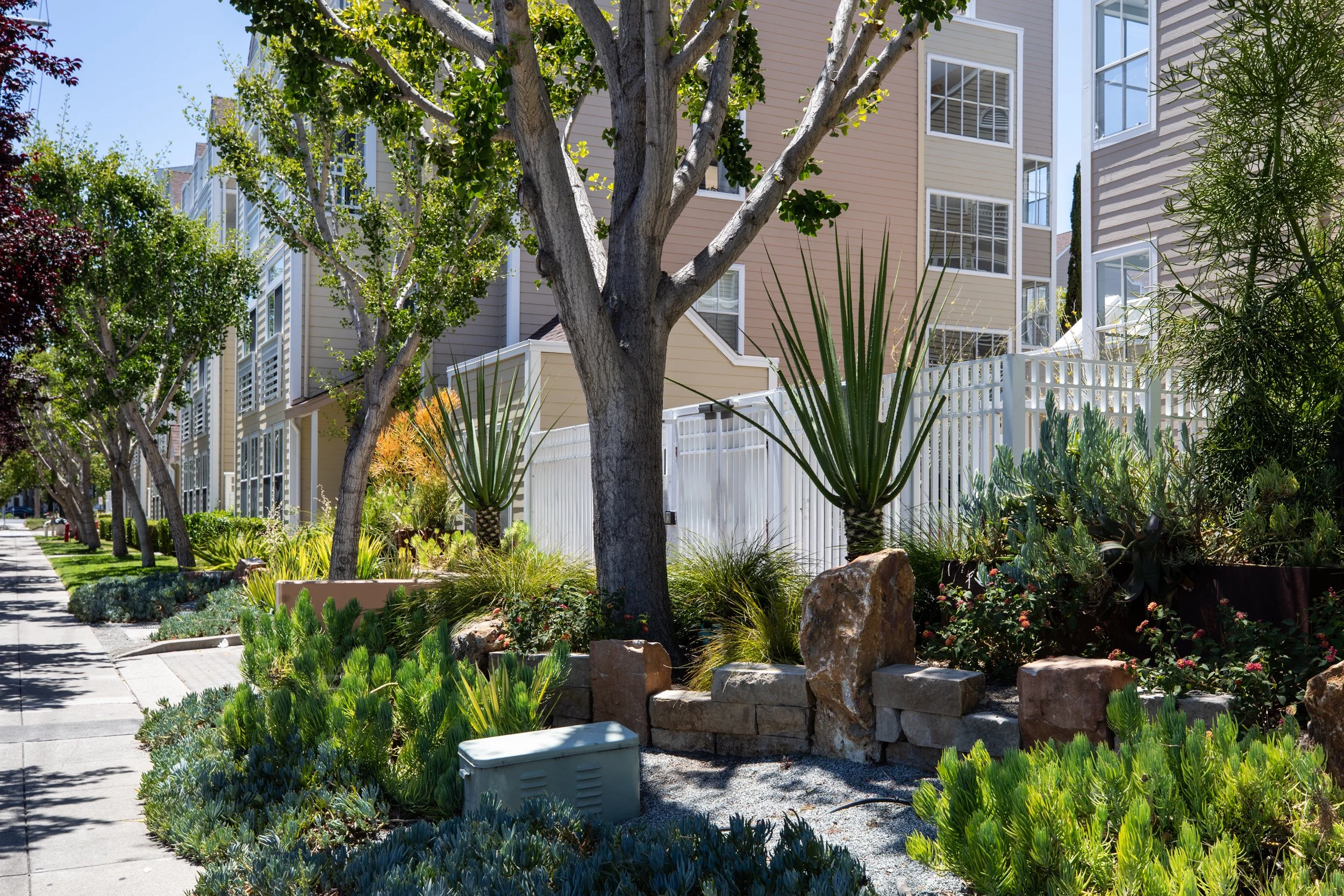 16-Ortega_Matt_Anello-3243-MLS.jpg
