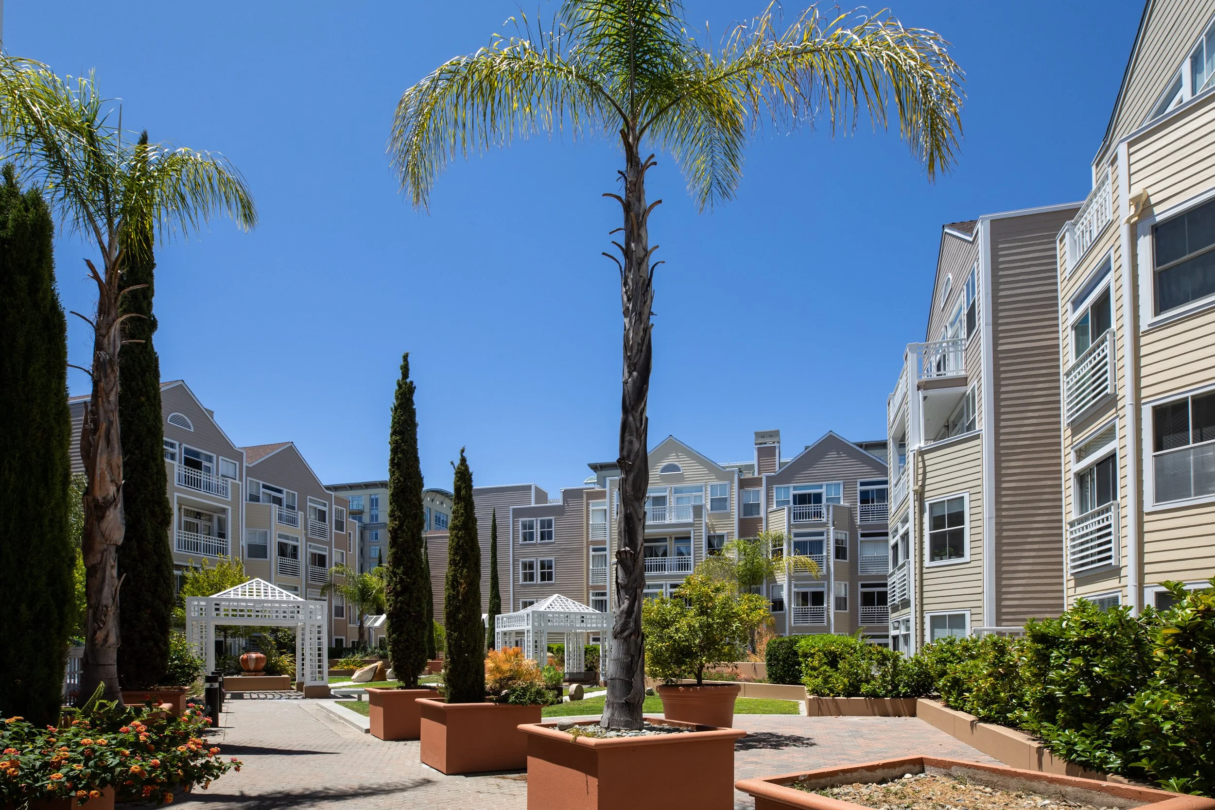 17-Ortega_Matt_Anello-3244-MLS.jpg