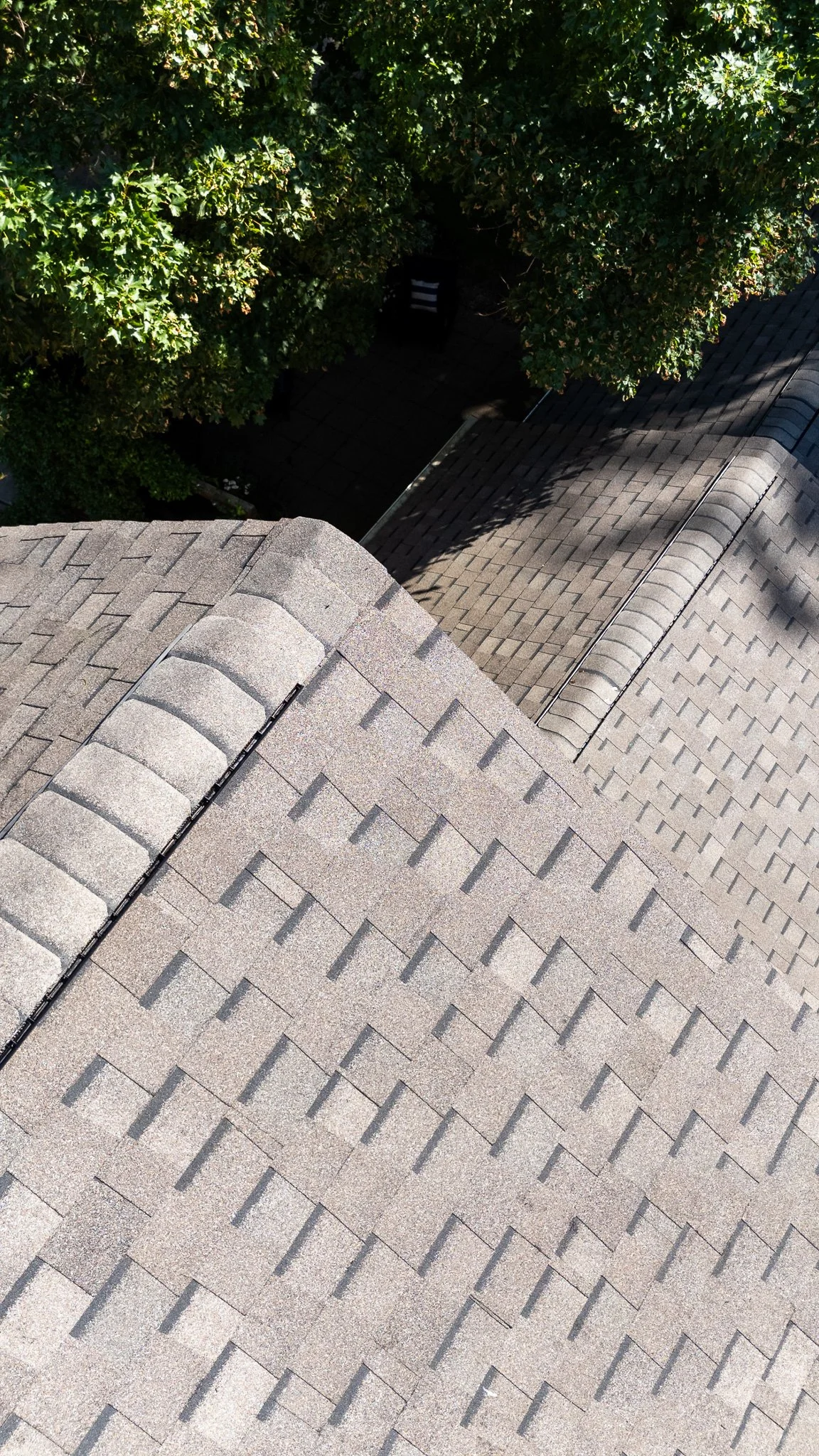 Aerial view of a house roof with brown shingles and a large green tree providing shade.