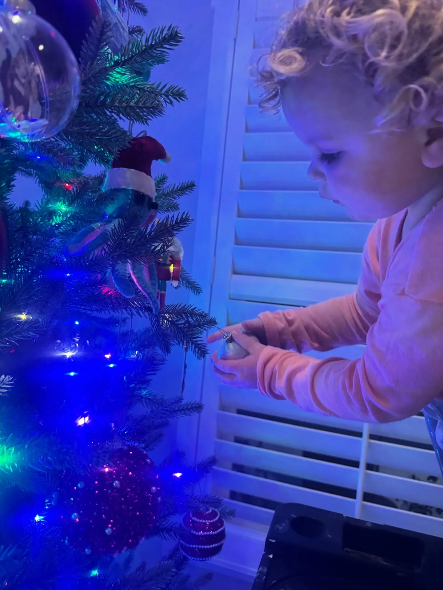 Magical moments with my crazy crew. 🎄✨ #christmas2025 #deckthehalls #reeseandbryn #chocolatelab