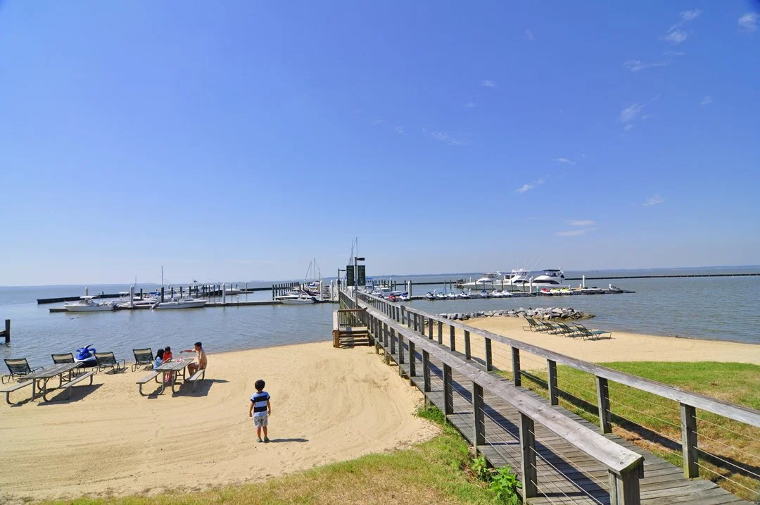 A sandy beach with people sitting at a picnic table, children playing nearby, a wooden pier leading to boats docked in a harbor, and lounge chairs on the sand, with a clear blue sky overhead.