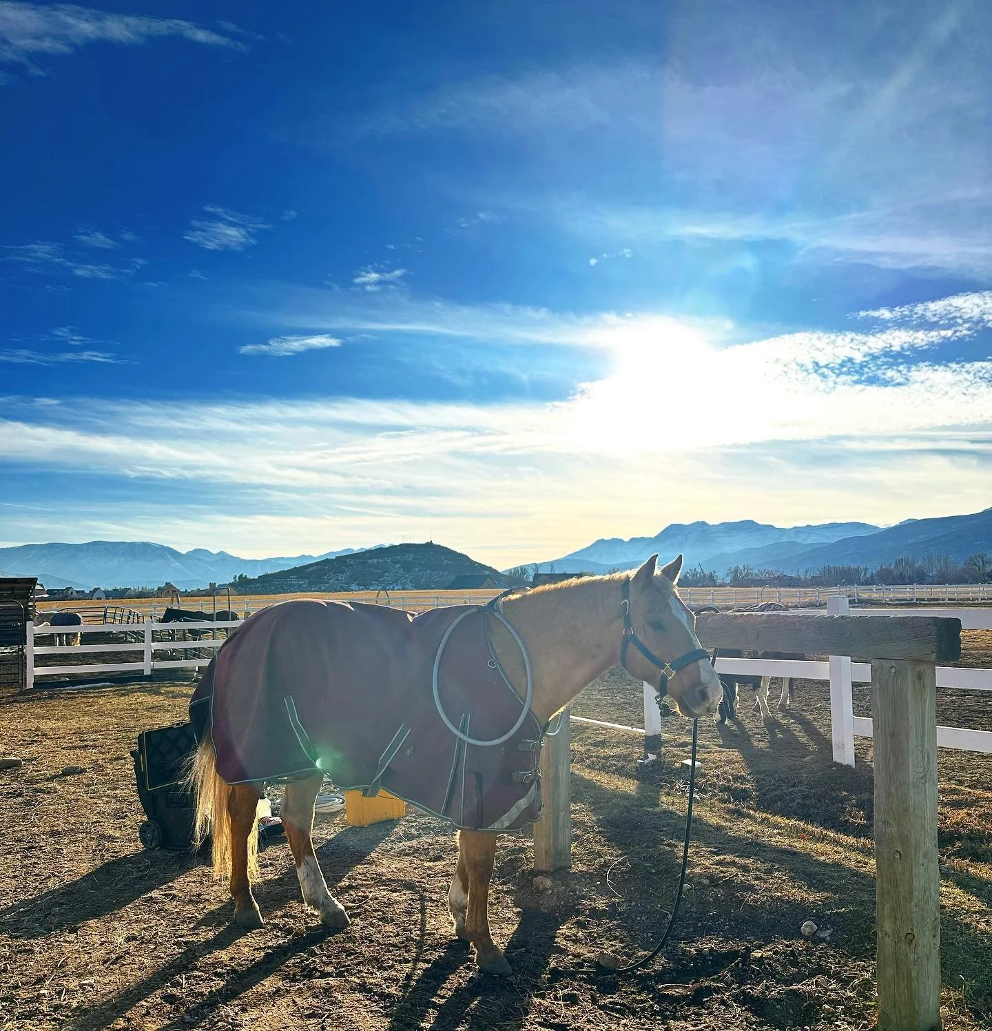 A beautiful day after these cold nights &amp; the full moon! 

I&rsquo;m always thankful to be able to work outside in the sun. Still a little chilly so blankets on, but no complaints! 

(Yes, we can pulse with blankets &amp; wraps on! It&rsquo;s jus