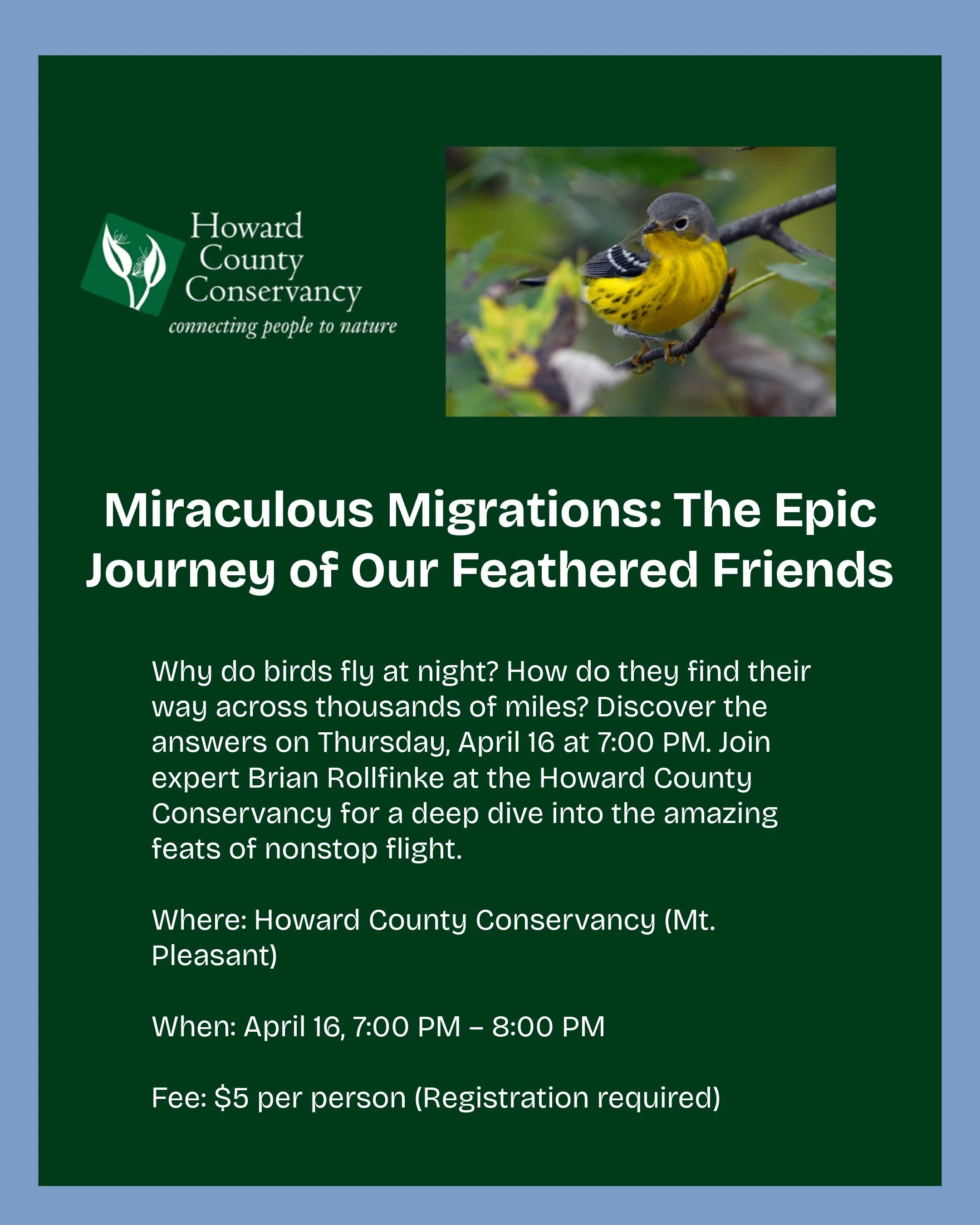 Social Media Package (Bckg & PFP)-14.jpeg