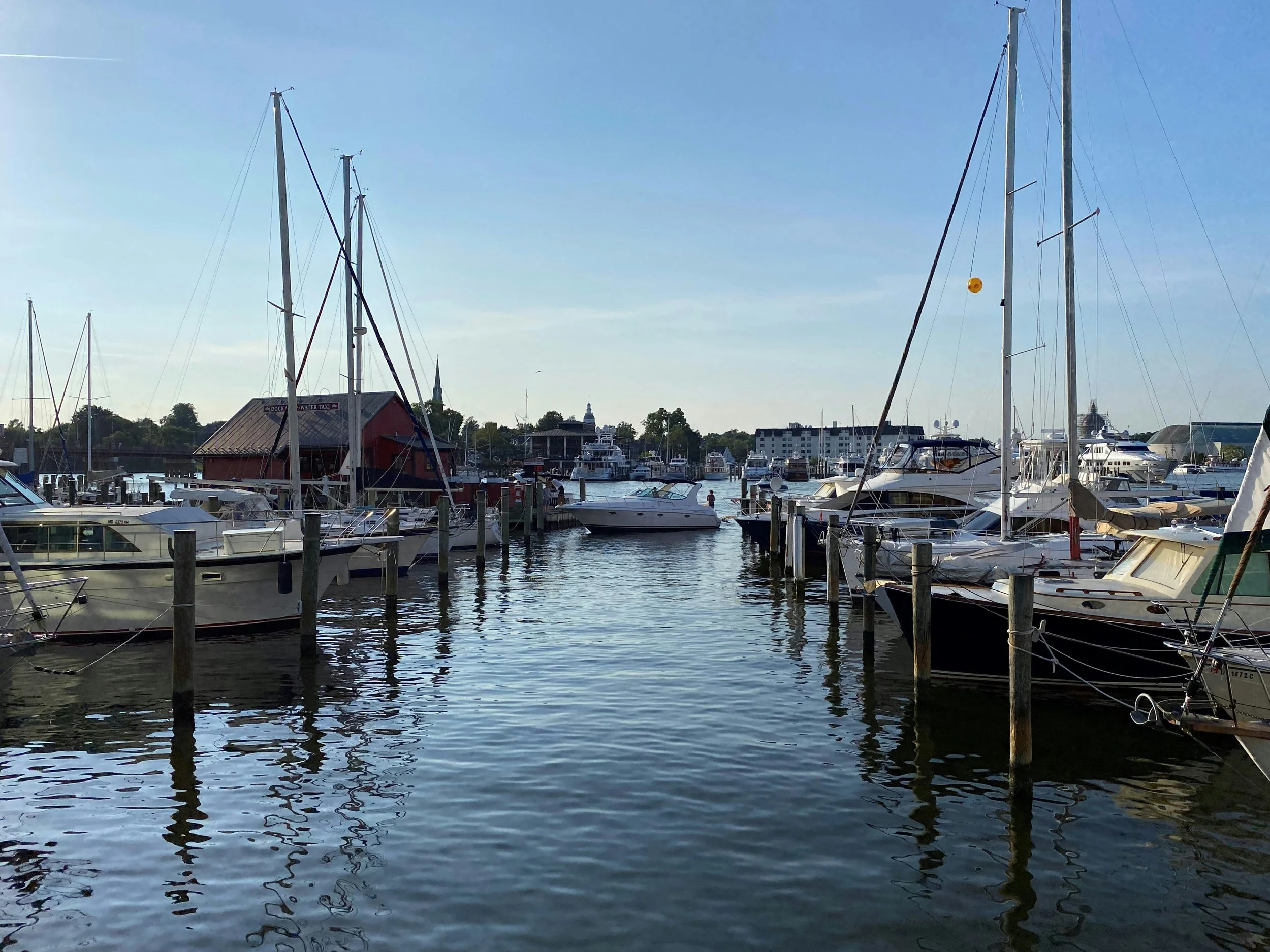Marina with several sailboats and yachts docked, blue sky, some buildings and trees in the background.