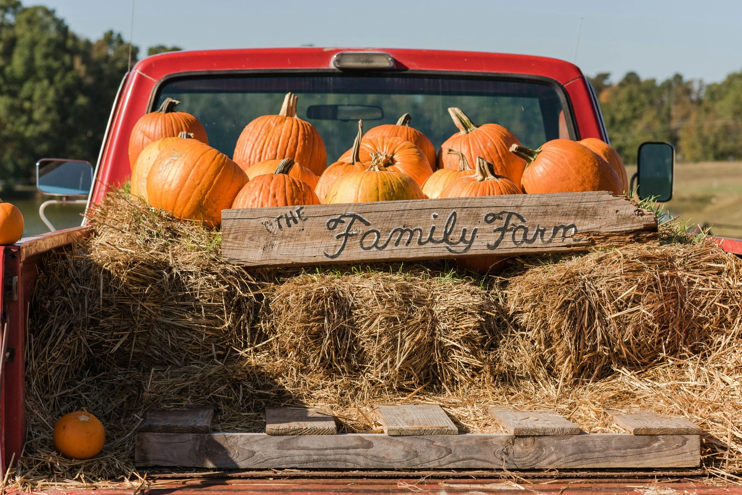 A red pickup truck bed filled with pumpkins and hay bales, with a wooden sign reading 'The Family Farm' placed among the pumpkins, set outdoors with trees in the background.