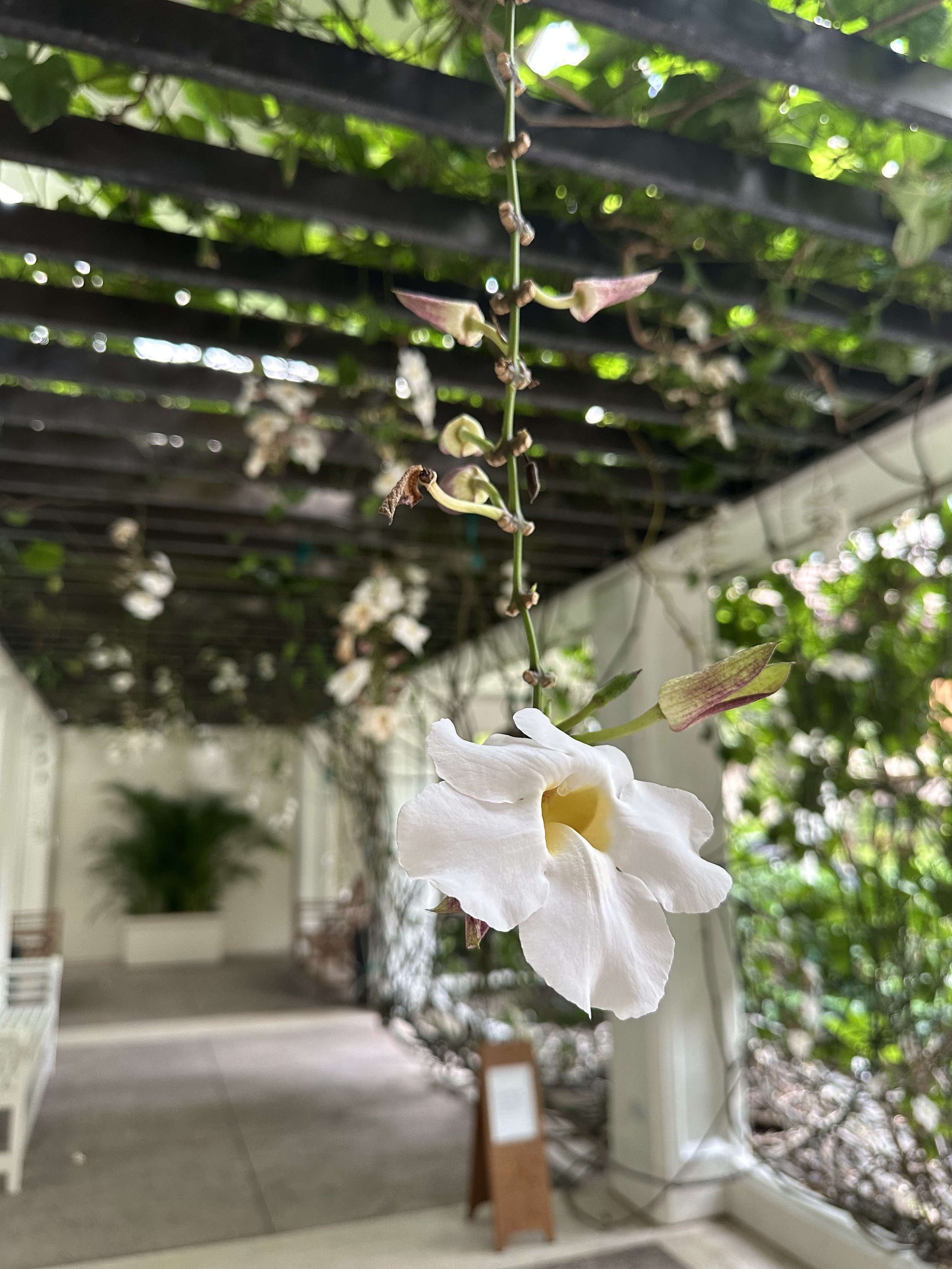 Second Fridays at Edgewater Public Market