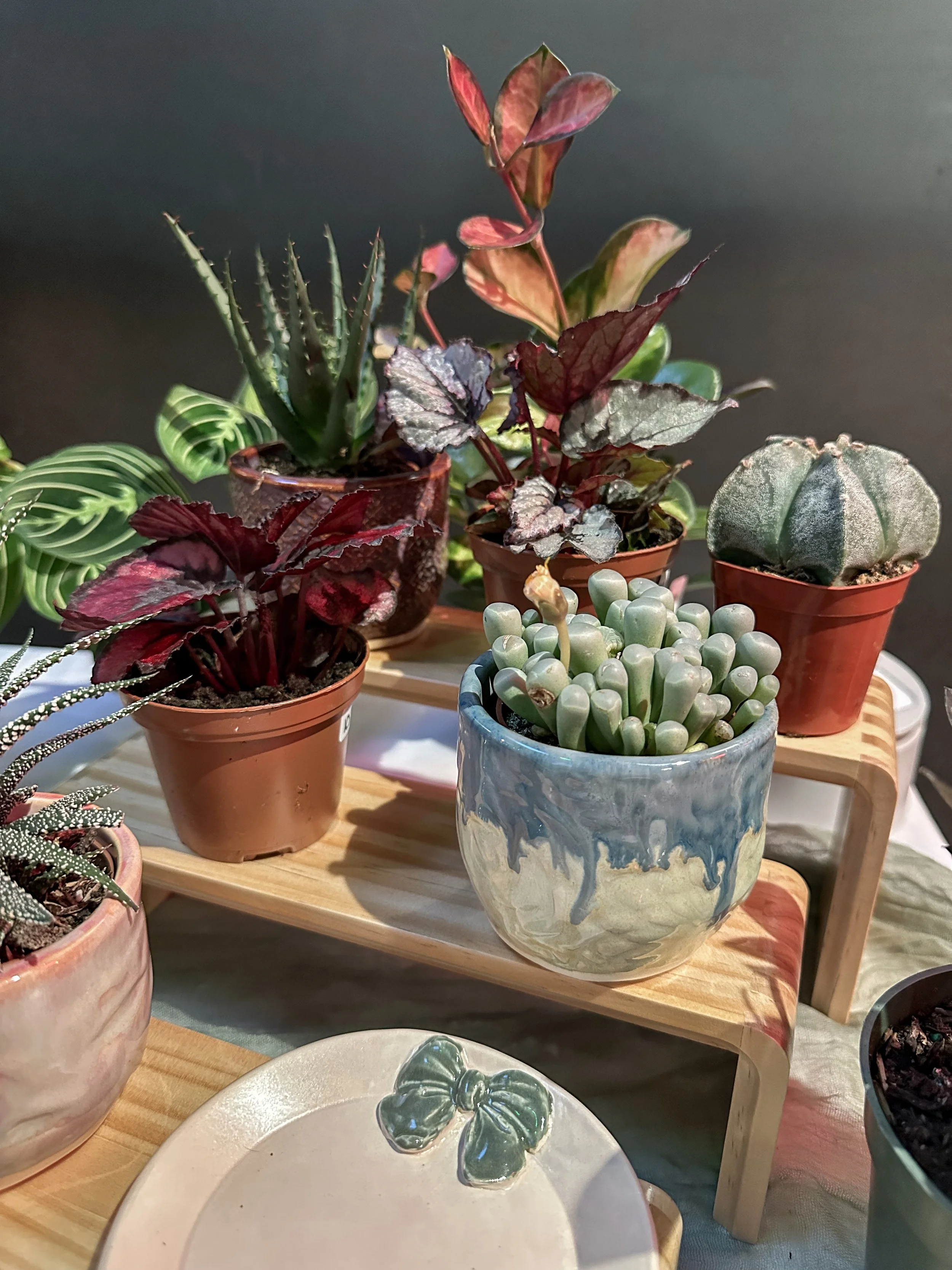 Second Fridays at Edgewater Public Market