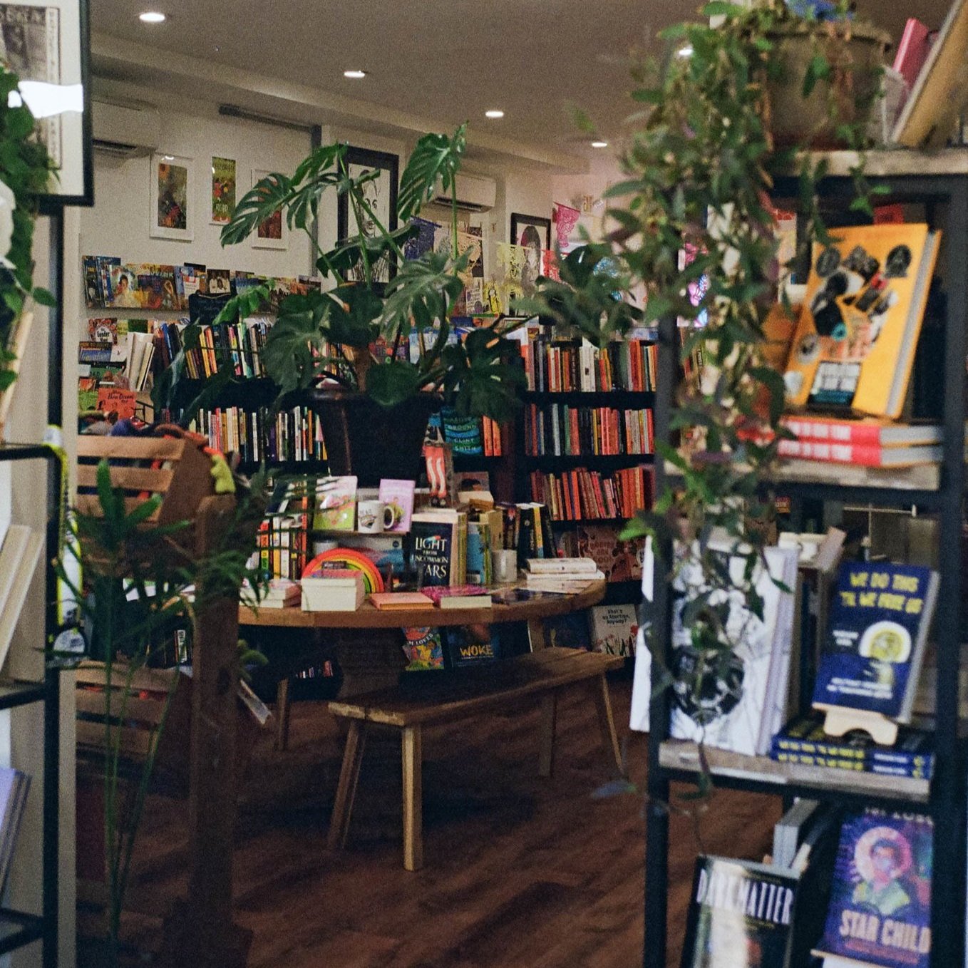 A Summer Reading List for Curious Minds