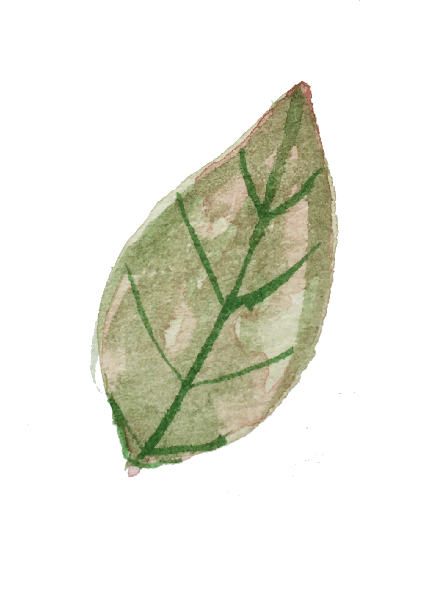 Untitled Design (1).png