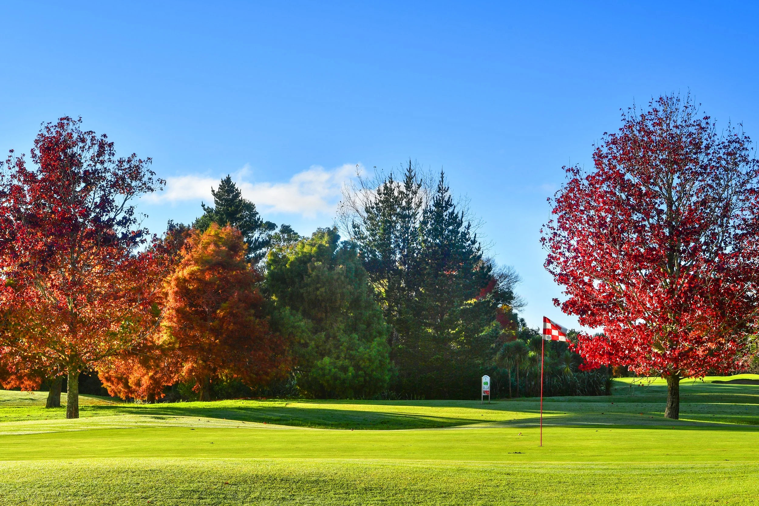 The more holes we keep, the more trees we might save.
