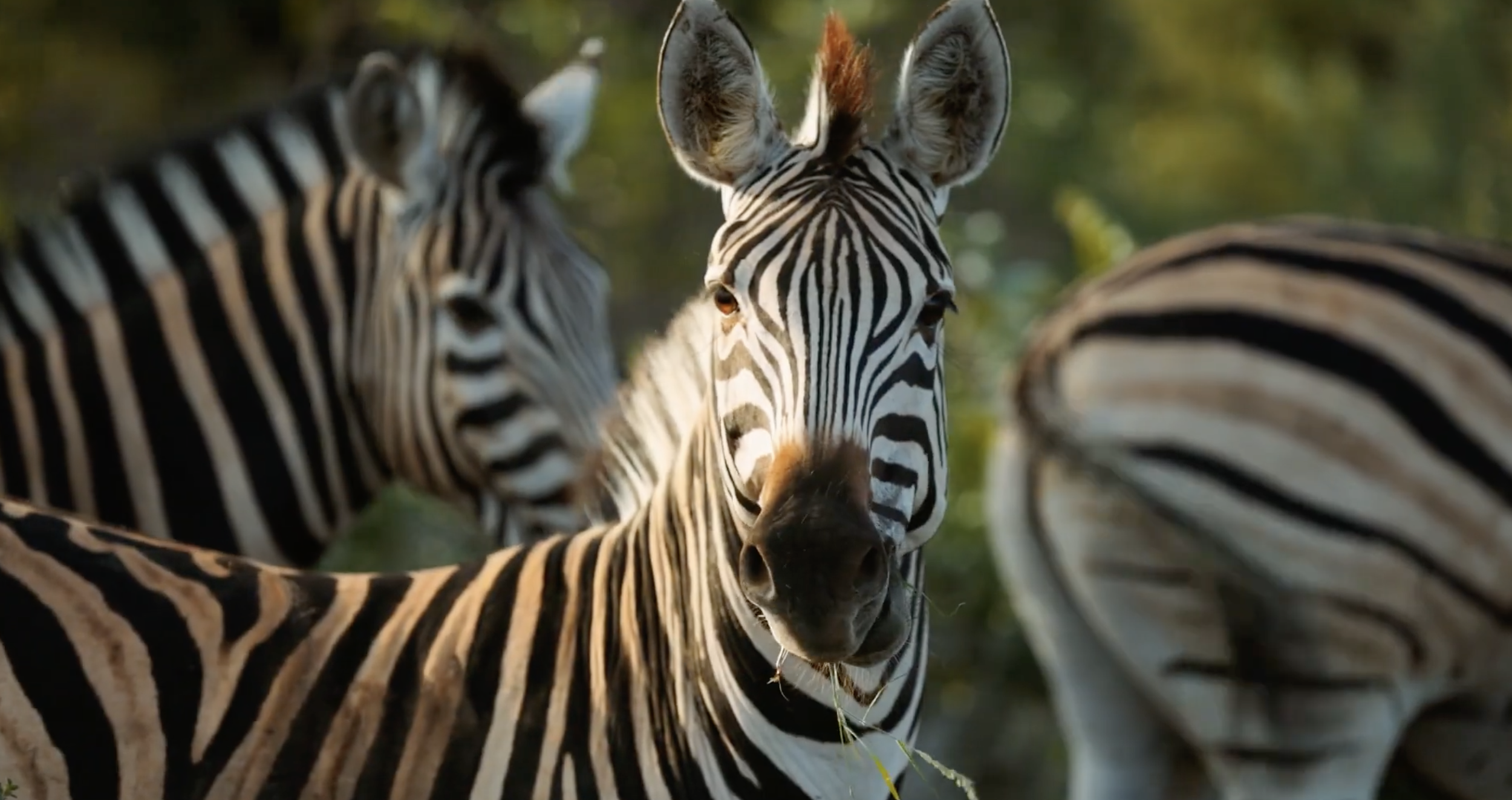 Screenshot 2026-01-05 at 12.28.30 PM.png