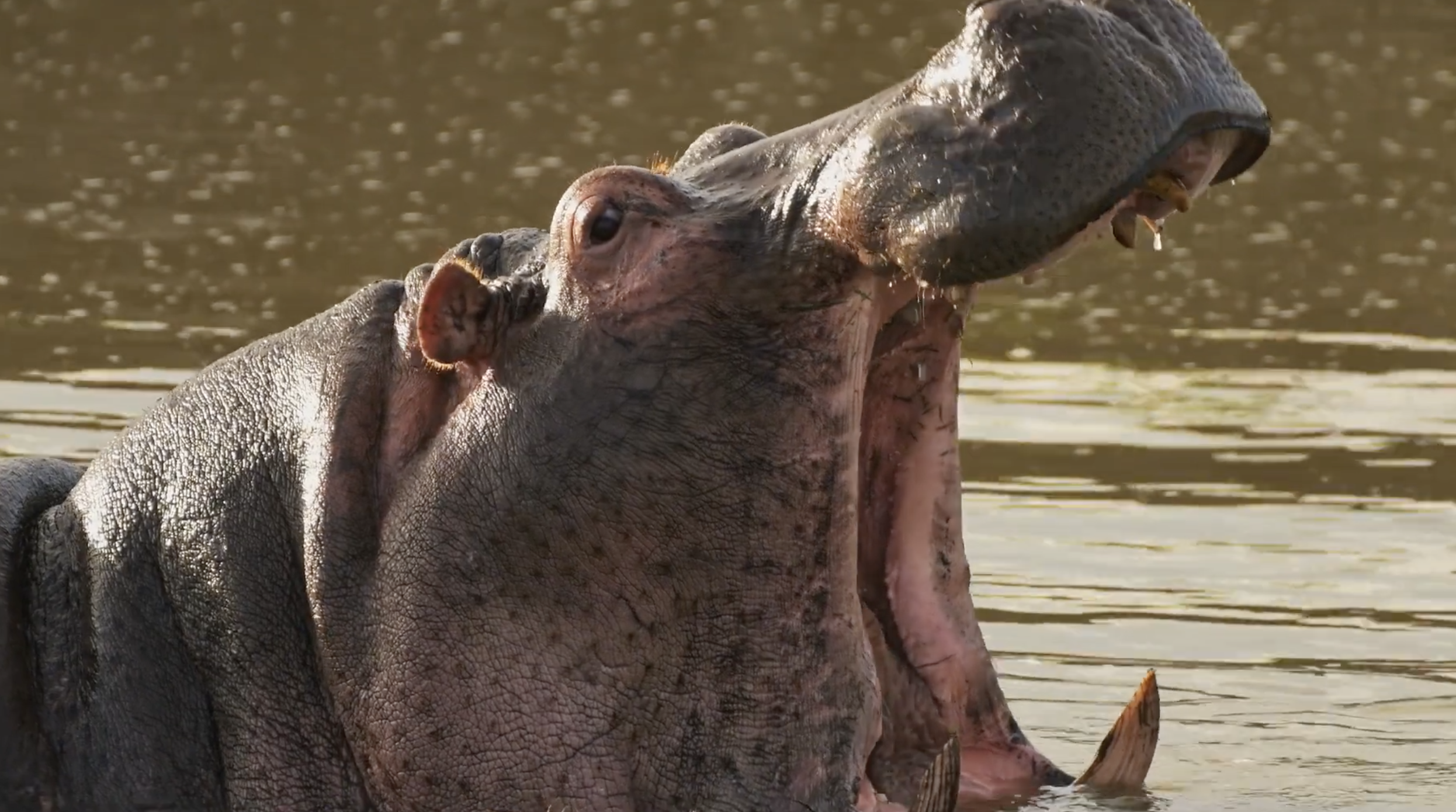 Screenshot 2026-01-05 at 12.28.45 PM.png