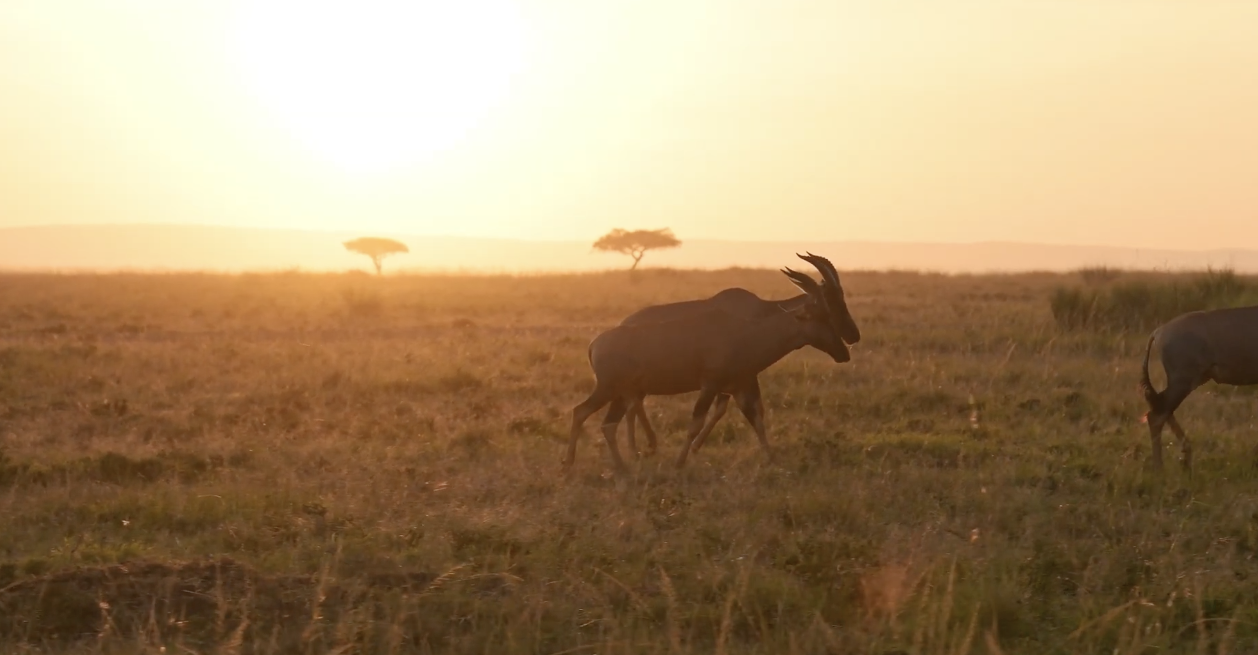 Screenshot 2026-01-05 at 12.28.20 PM.png